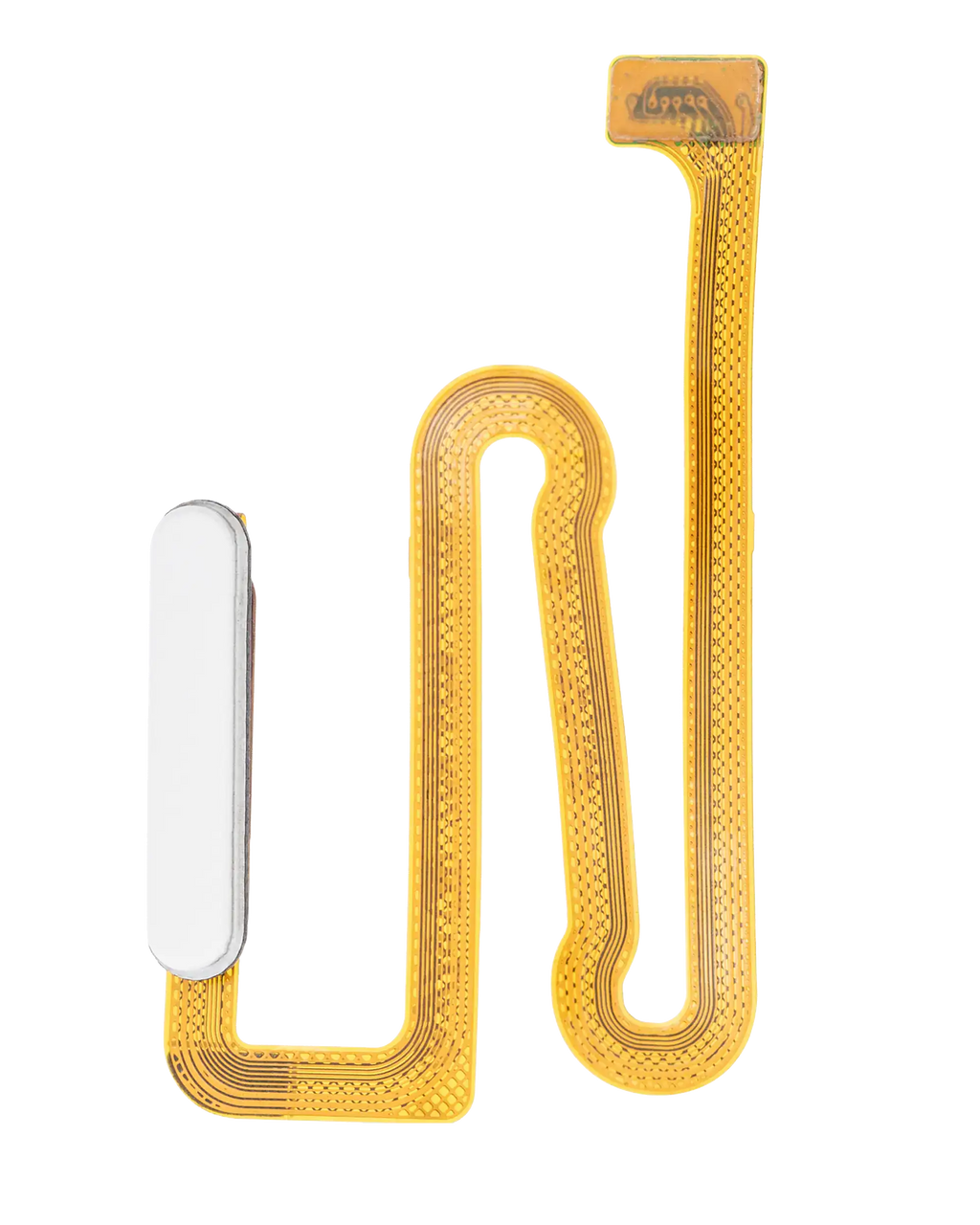Fingerprint Sensor with Flex Cable for Samsung Galaxy A12 (A125 / 2020) (White)
