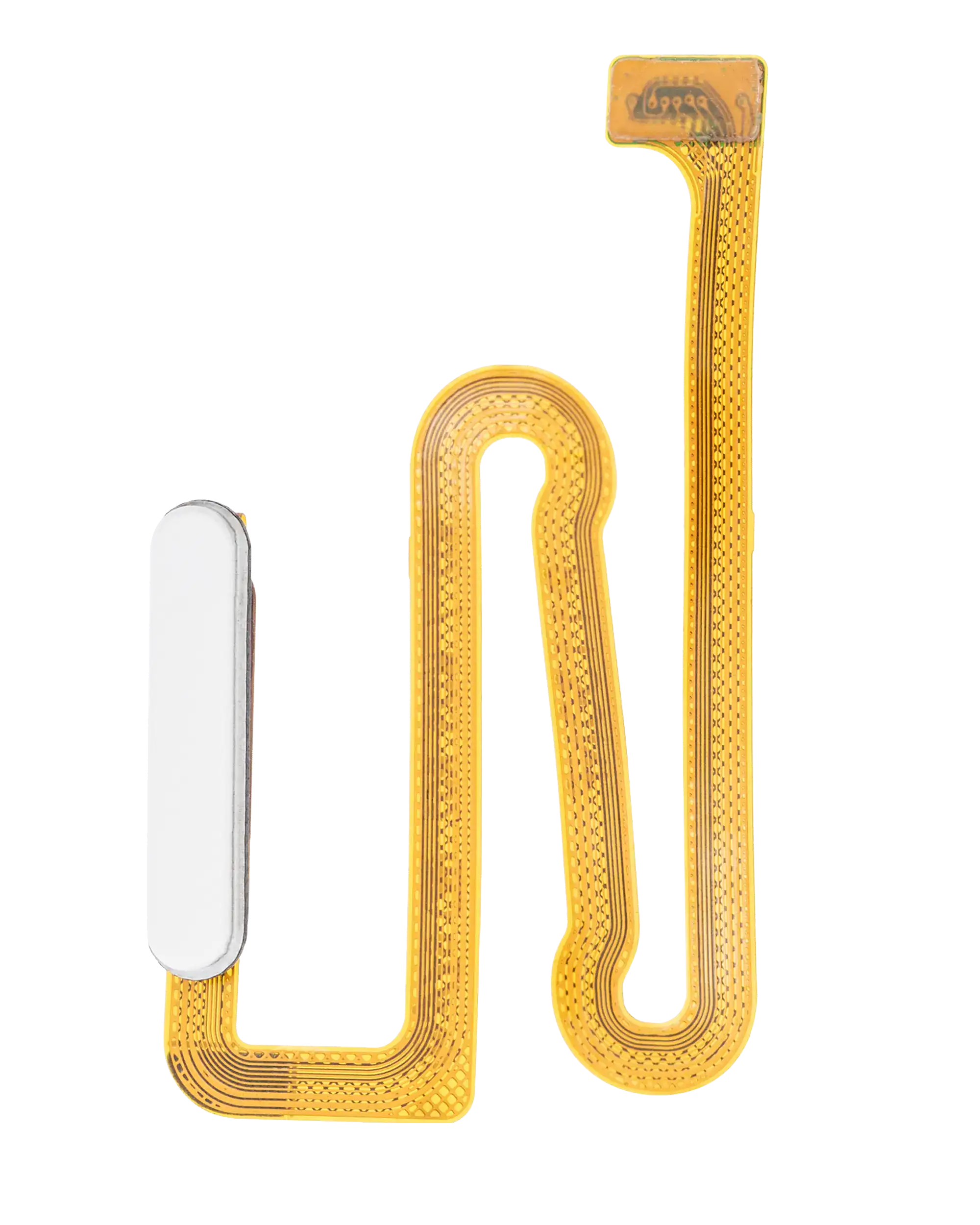 Fingerprint Sensor with Flex Cable for Samsung Galaxy A12 (A125 / 2020) (White)