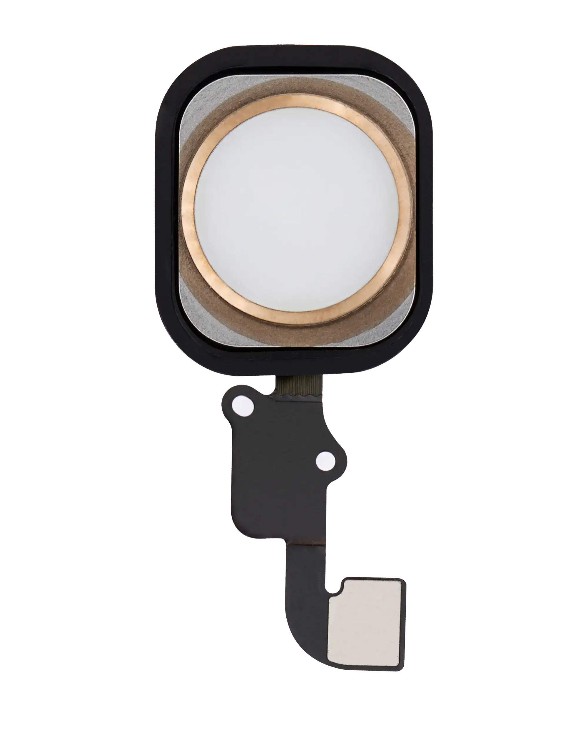 Home Button mit Flex für iPhone 6 / 6 Plus (Gold)