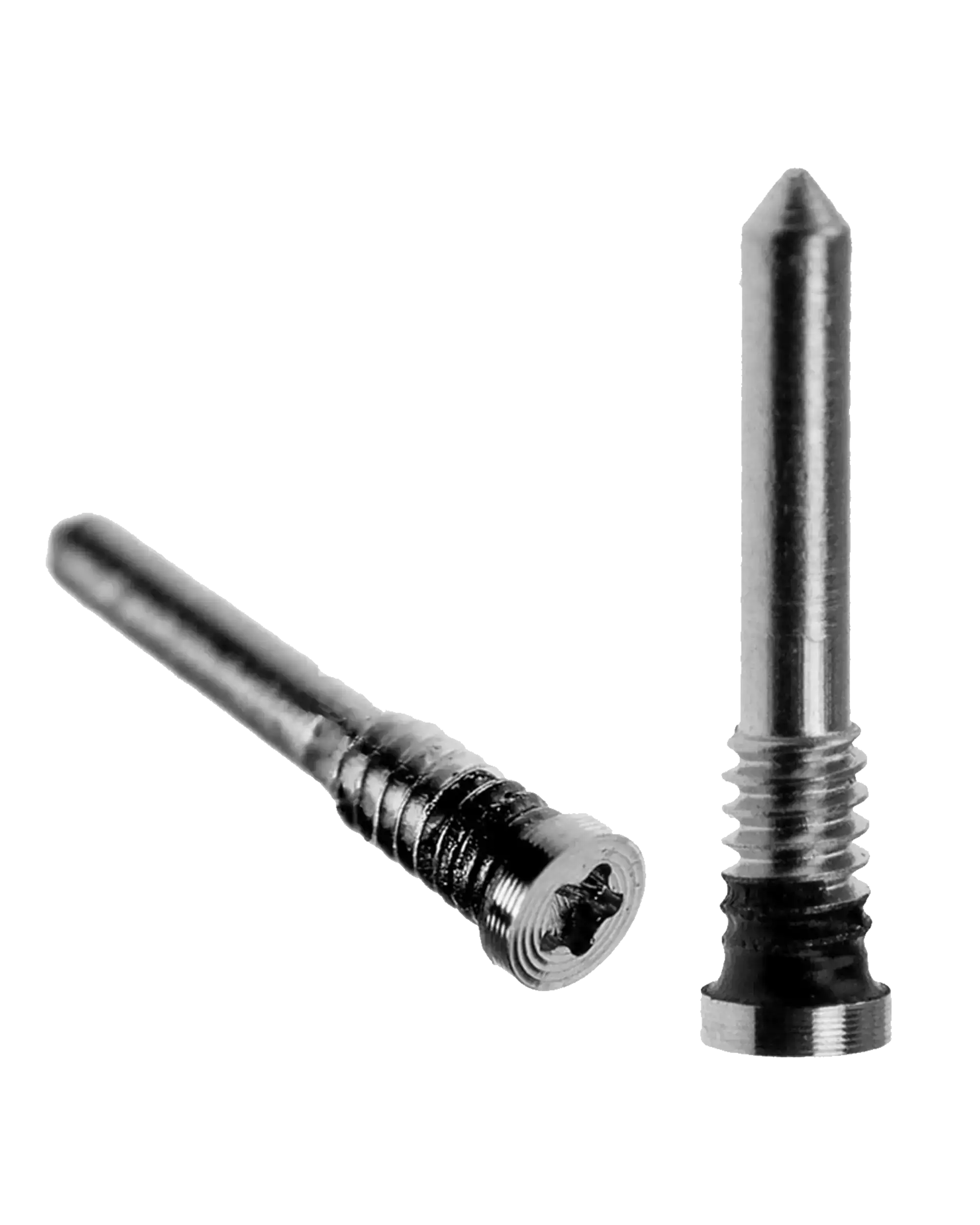 Bottom Security Screws for iPhone 11 / XR (Service Pack) (Silver)