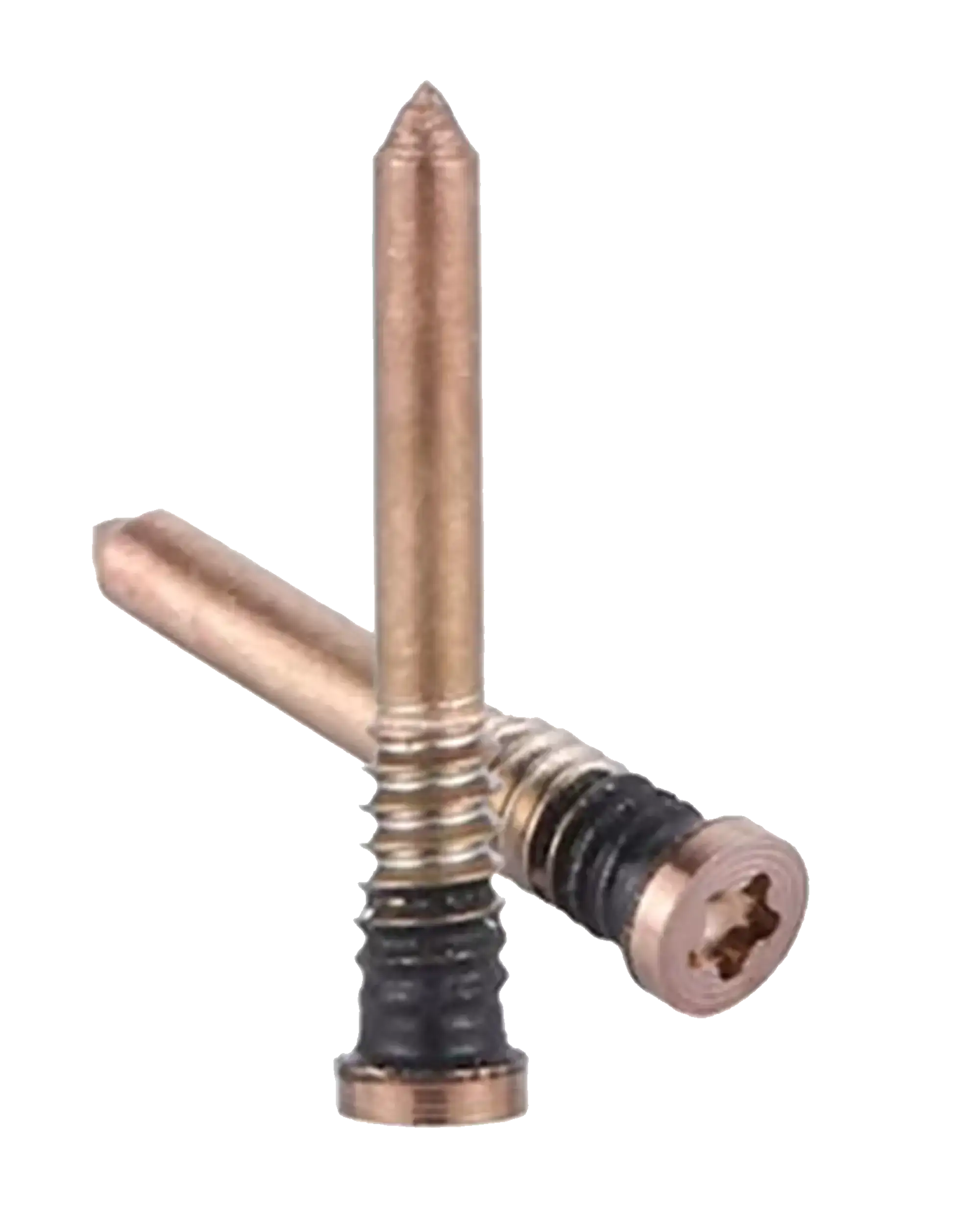 Bottom Security Screws for iPhone 12 Pro Max (Service Pack) (Gold)