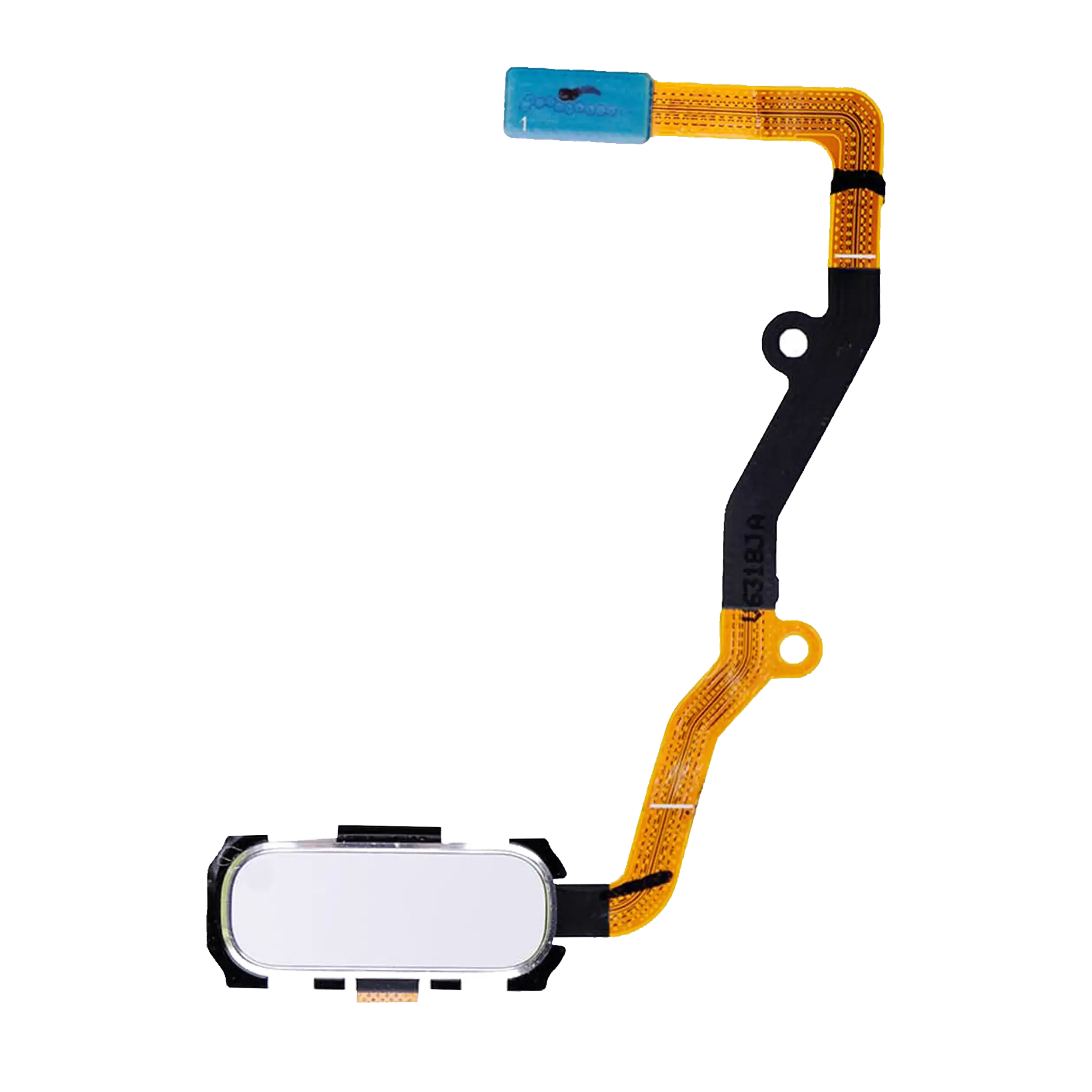 Home Button Flex Cable for Samsung Galaxy S7 Edge (White)