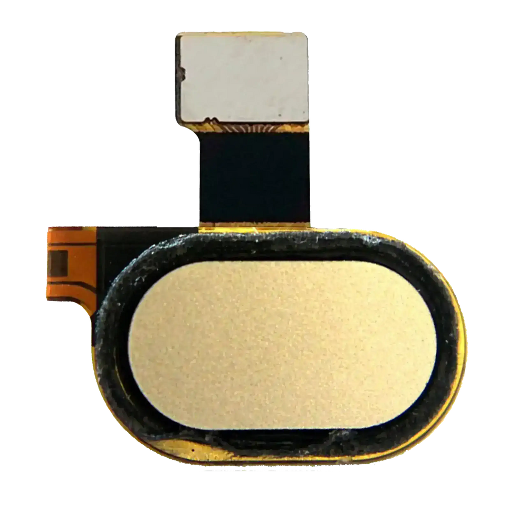 Home-Button mit Flex-Kabel für Motorola Moto G5 (XT1670 / 2017) (Gold)