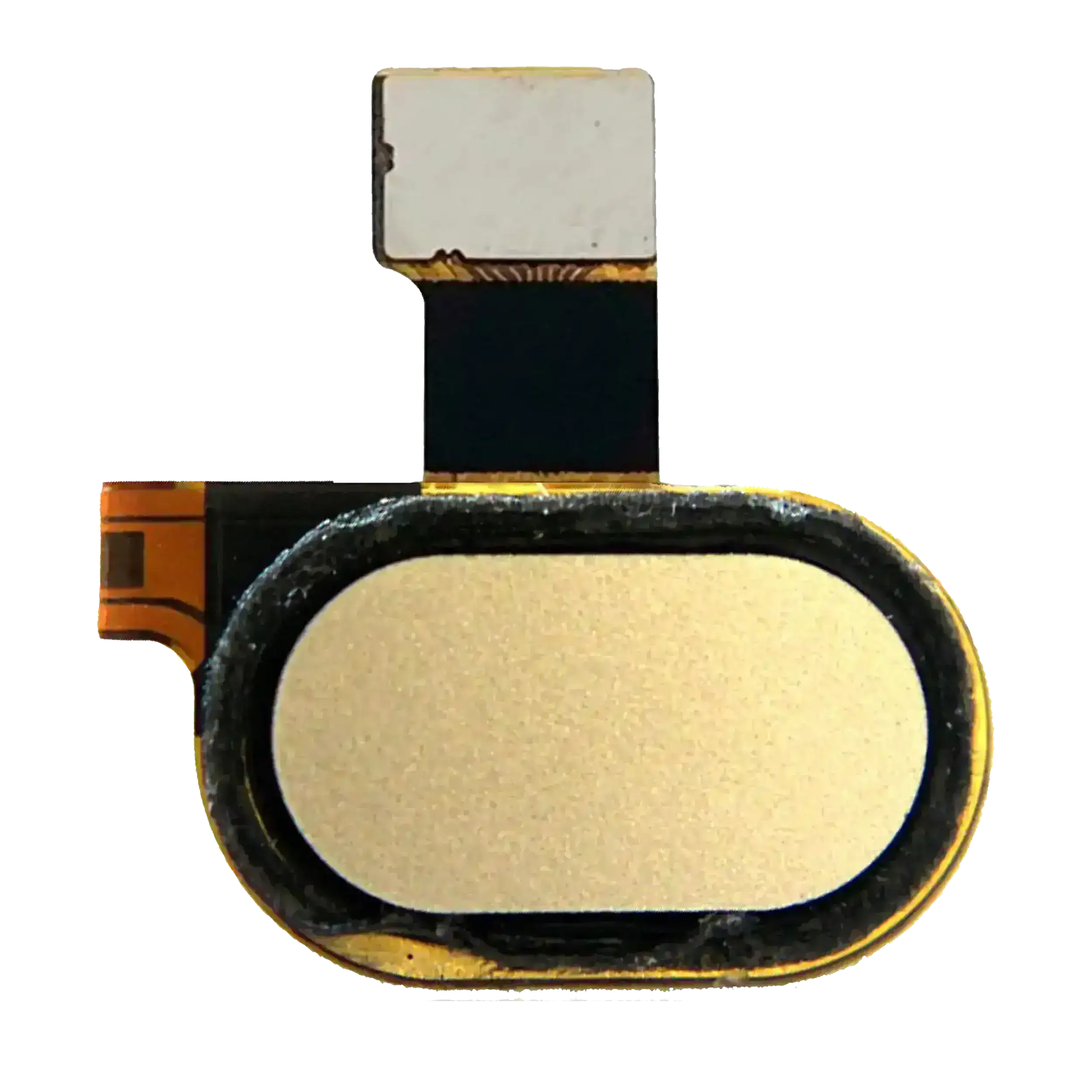 Home-Button mit Flex-Kabel für Motorola Moto G5 (XT1670 / 2017) (Gold)