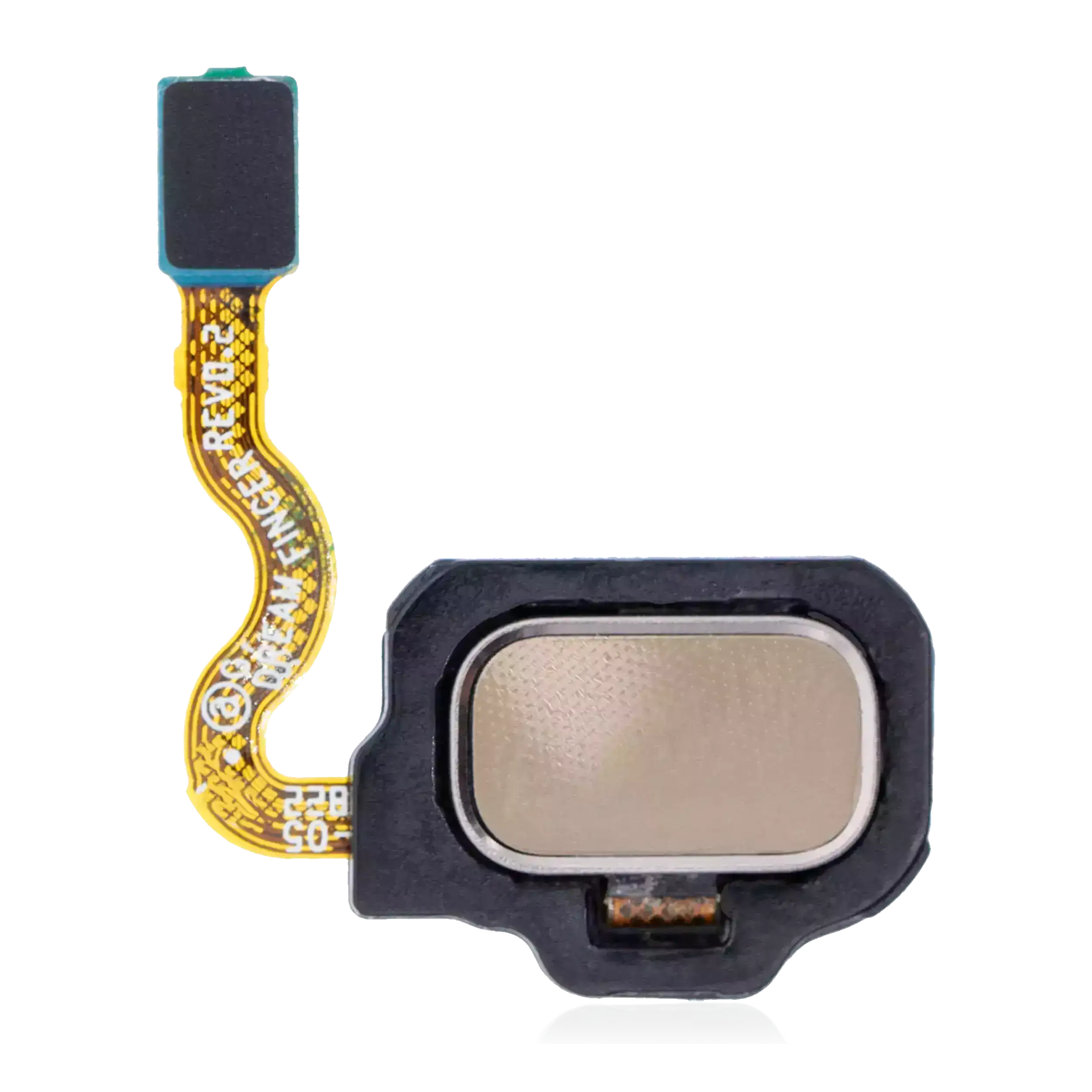Fingerabdrucksensor mit Flexkabel für Samsung Galaxy S8 / S8 Plus (Maple Gold)