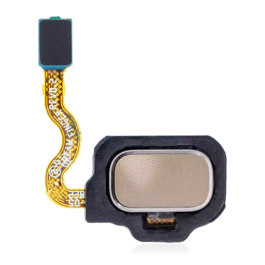 Fingerabdrucksensor mit Flexkabel für Samsung Galaxy S8 / S8 Plus (Maple Gold)