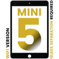 Front Glass for iPad Mini 5 (Glass separation required, WiFi only, all colors)
