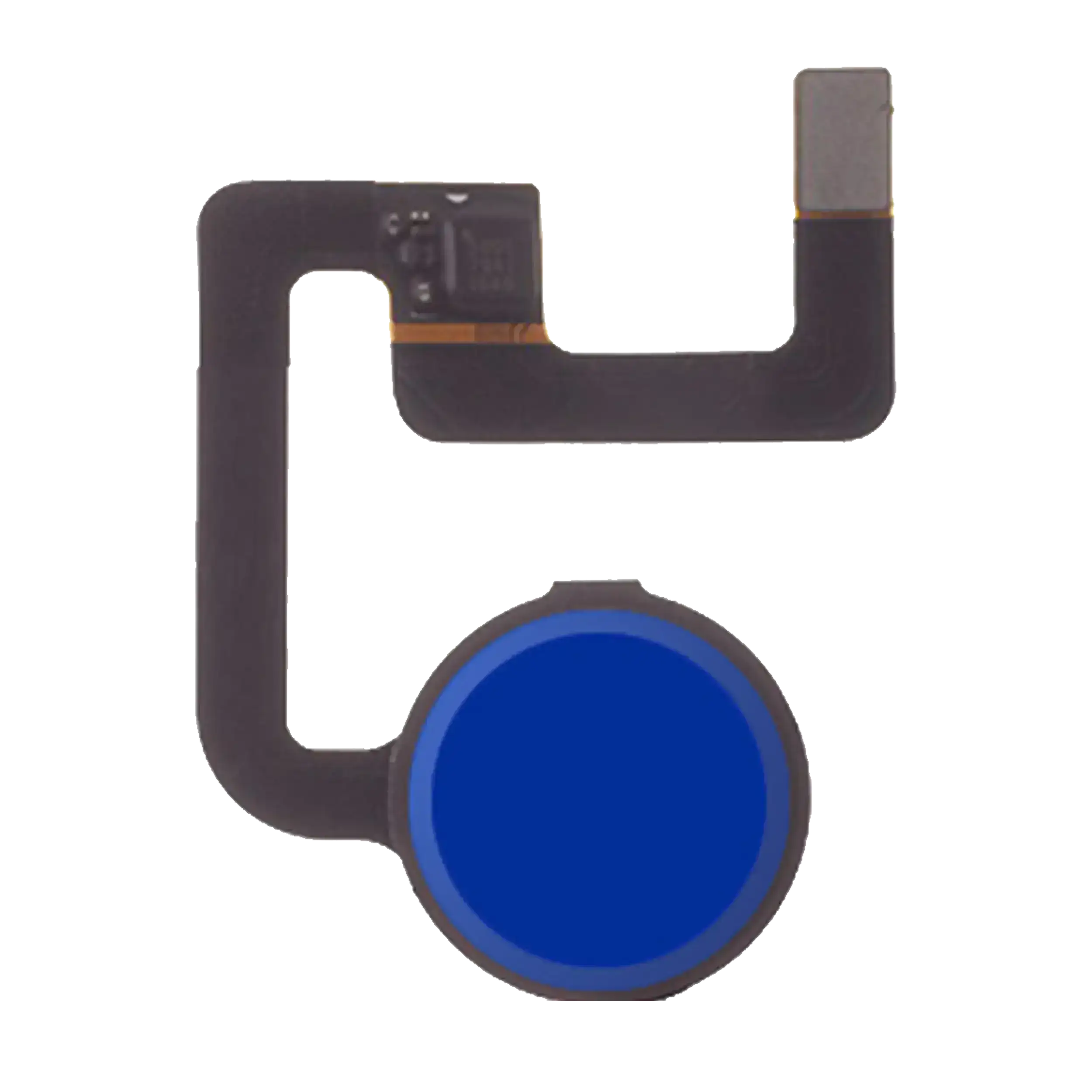 Home-Button mit Flexkabel für Google Pixel / Pixel XL (Blau)
