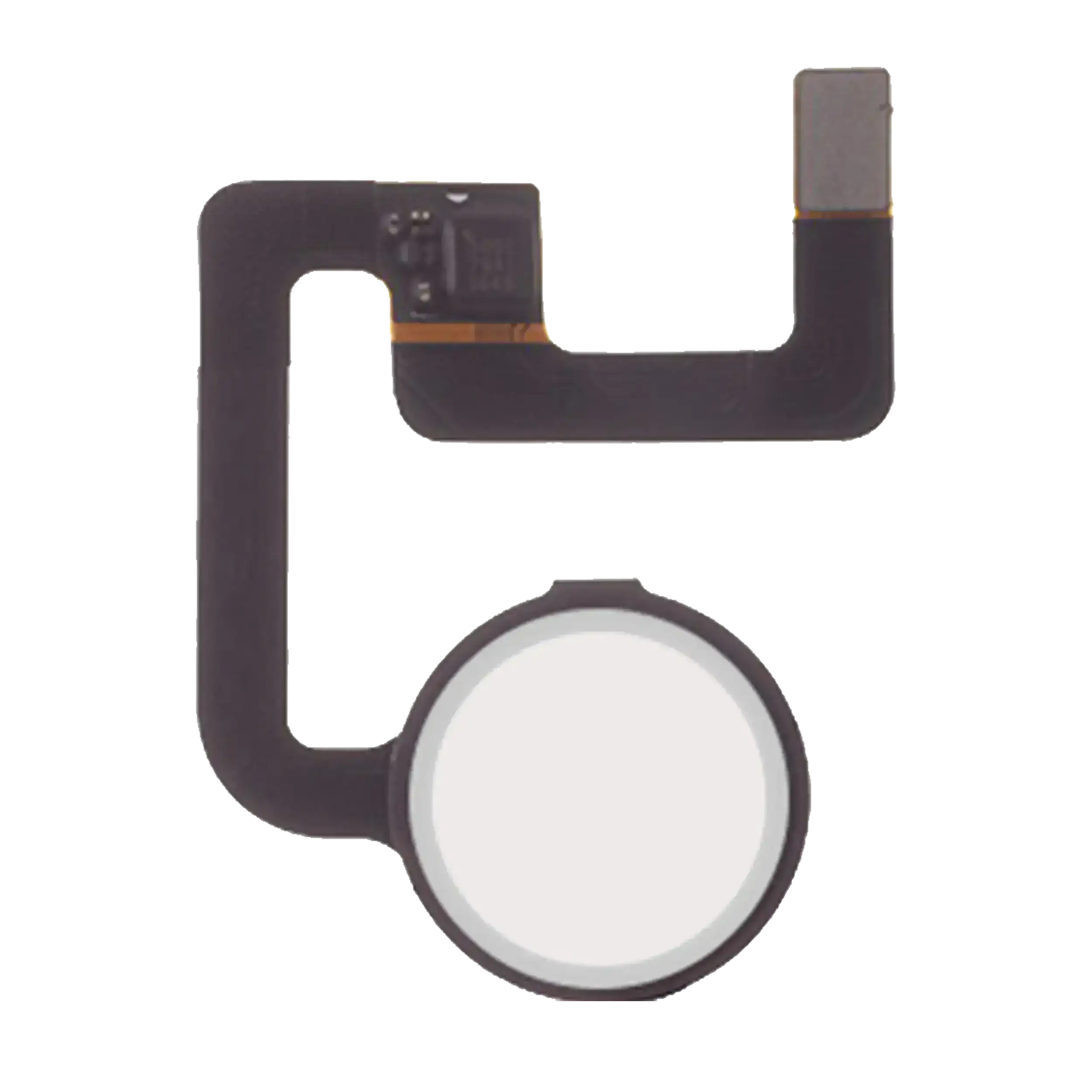 Home Button with Flex Cable for Google Pixel / Pixel XL (White)