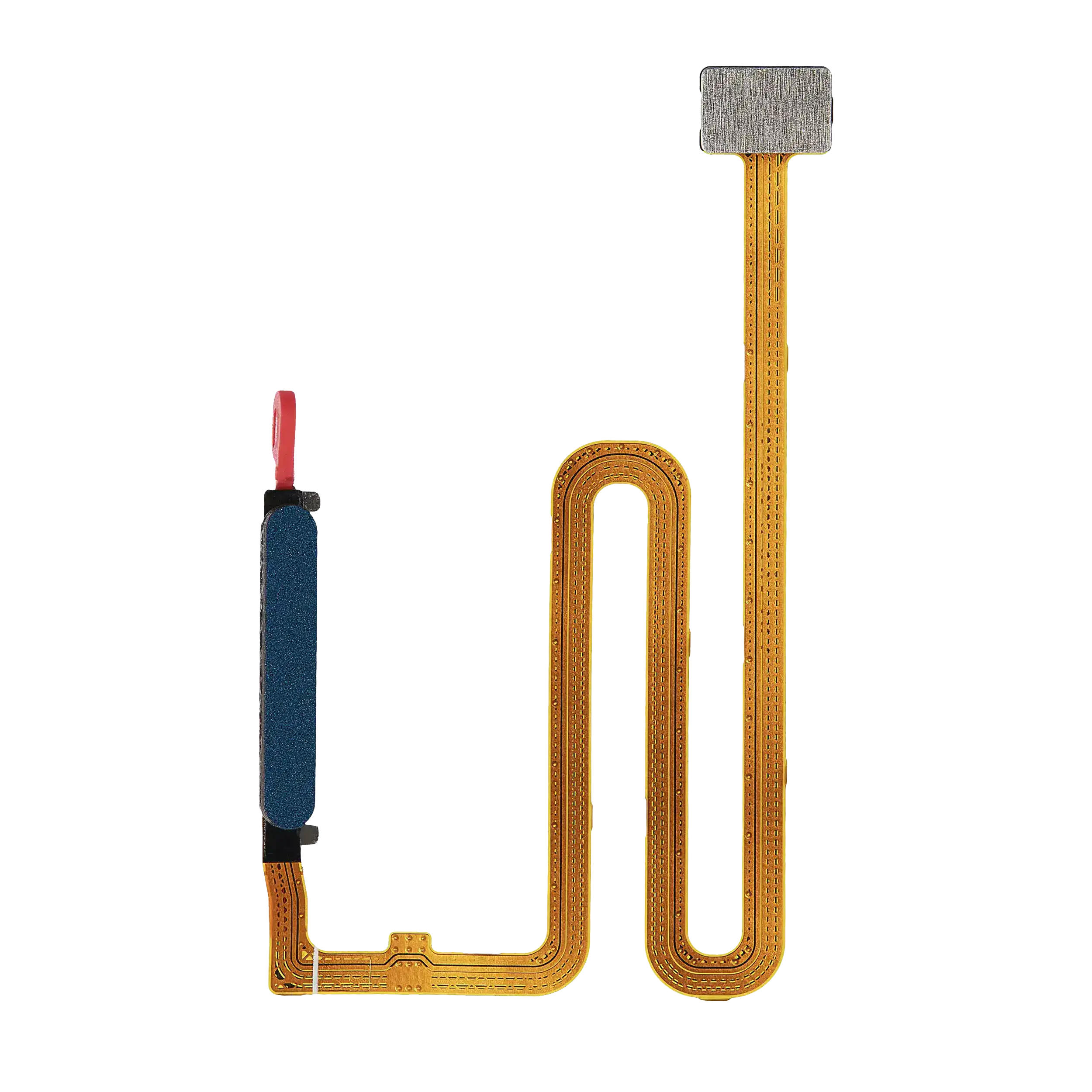 Fingerprint Scanner with Flex Cable for Samsung Galaxy A03S (A037U / 2021) (Blue)