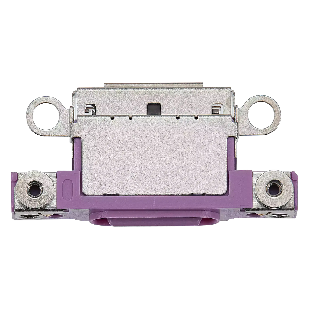 Nur Ladebuchse für iPhone 16 / 16 Plus (Pink) (10er-Pack)