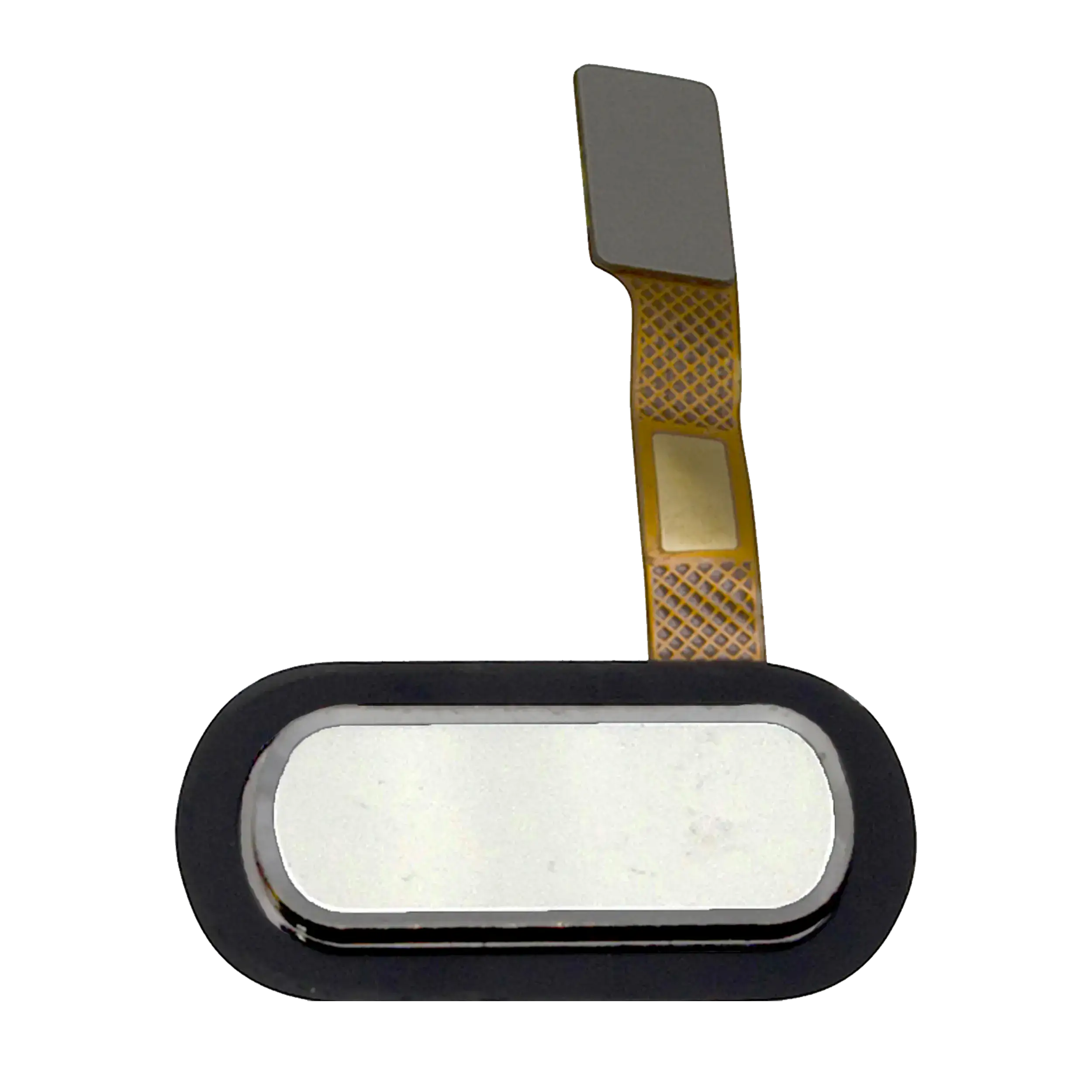 Home Button Flex Cable for OnePlus 2 (White)