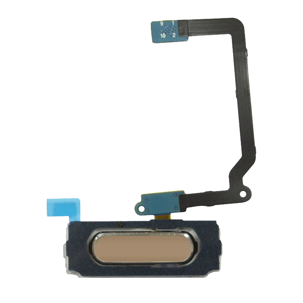 Home Button Flex Cable for Samsung Galaxy S5 (Gold)