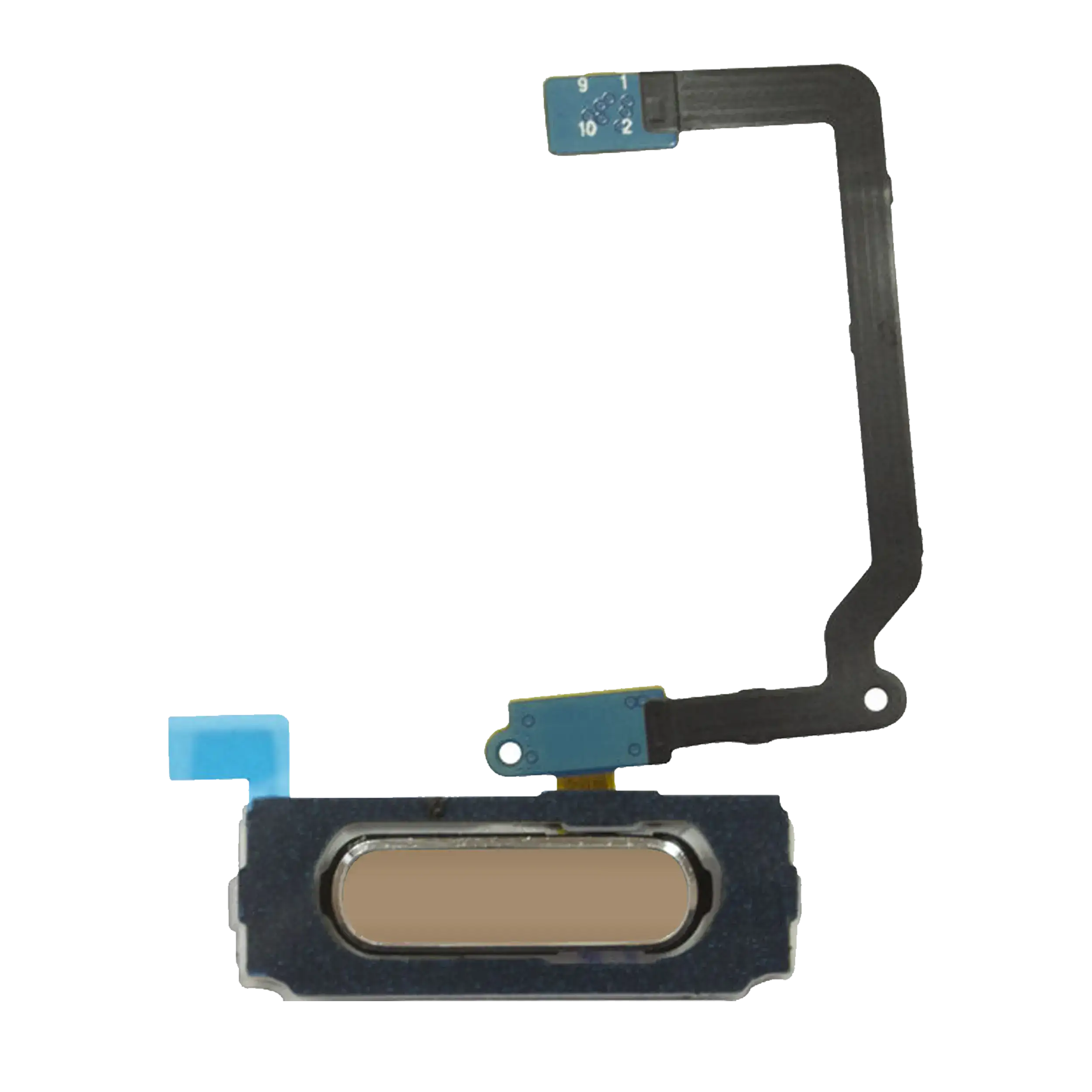 Home Button Flex Cable for Samsung Galaxy S5 (Gold)