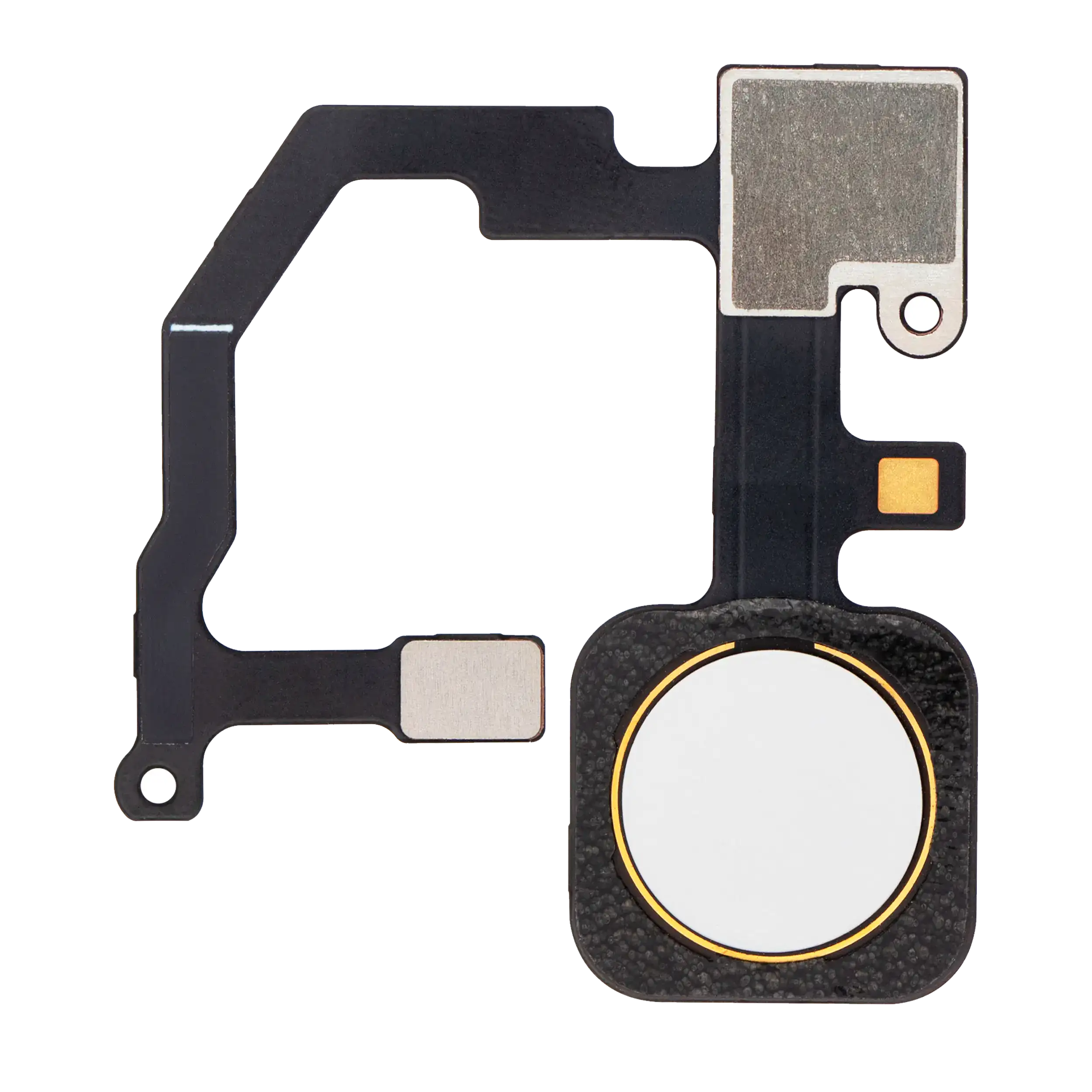 Fingerprint Reader mit Flexkabel für Google Pixel 5A 5G (Weiß)