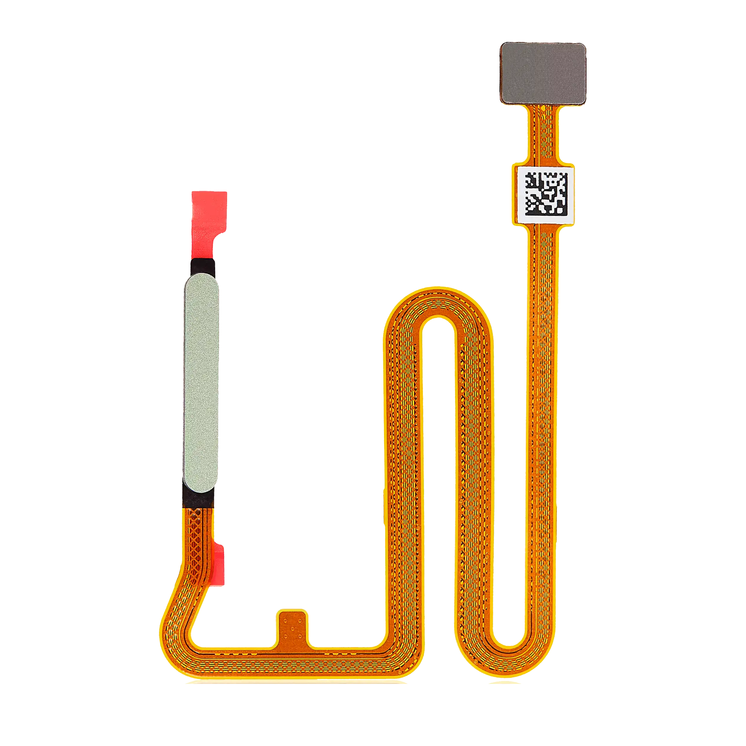 Fingerprint Reader Flex Cable for Samsung Galaxy A14 5G (A146P / 2023) (Light Green)