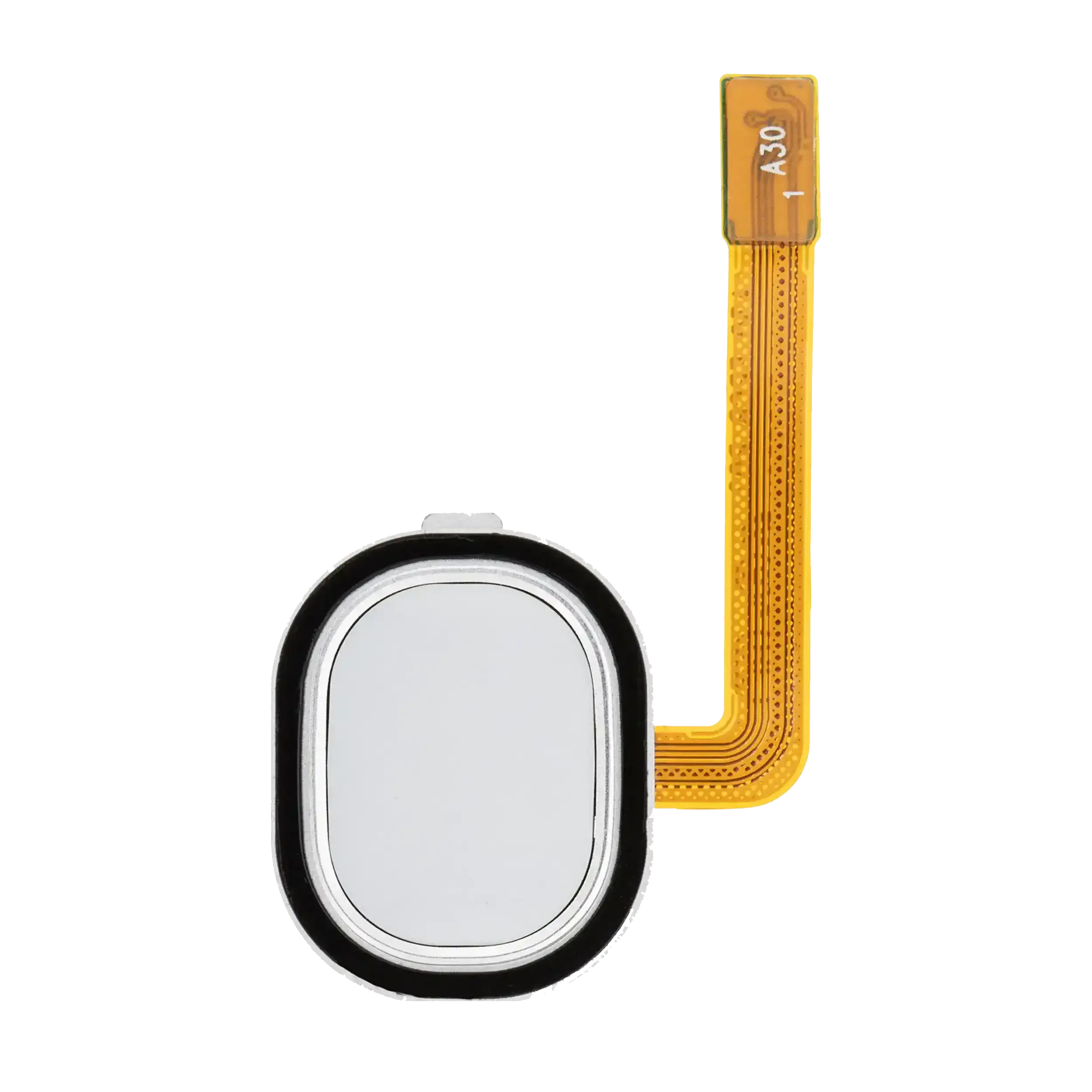 Fingerprint Sensor with Flex Cable for Samsung Galaxy A30 (A305 / 2019) / A40 (A405 / 2019) (White)