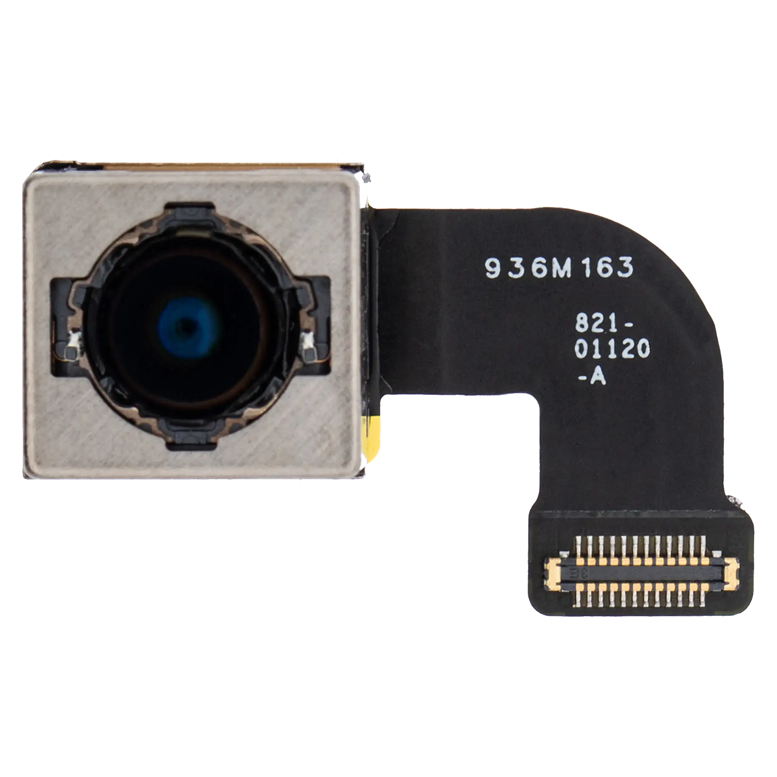 Rear Camera for iPhone 8 / SE (2020) (Premium)
