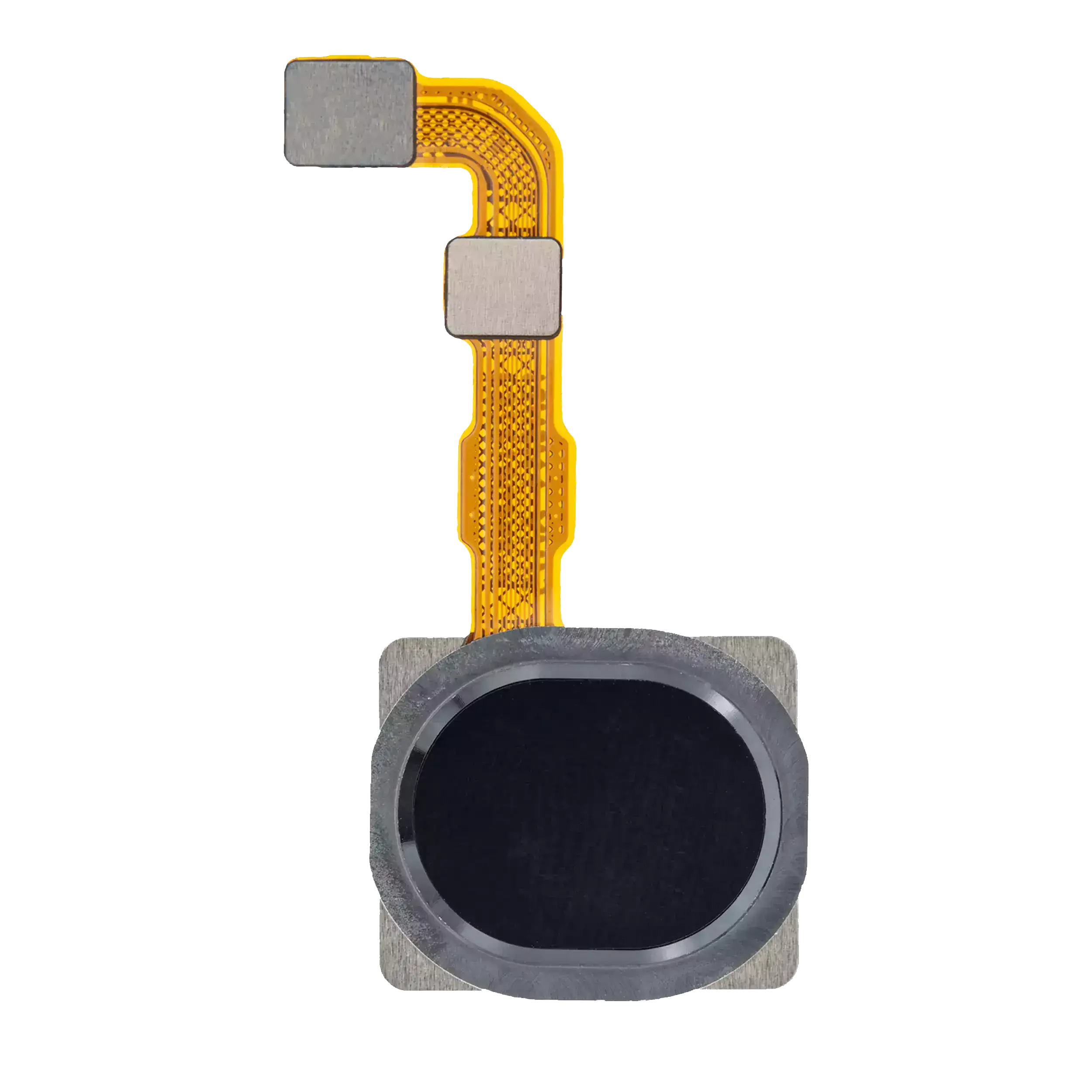 Fingerprint Sensor with Flex Cable for Samsung Galaxy A20s (A207 / 2019) (Black)