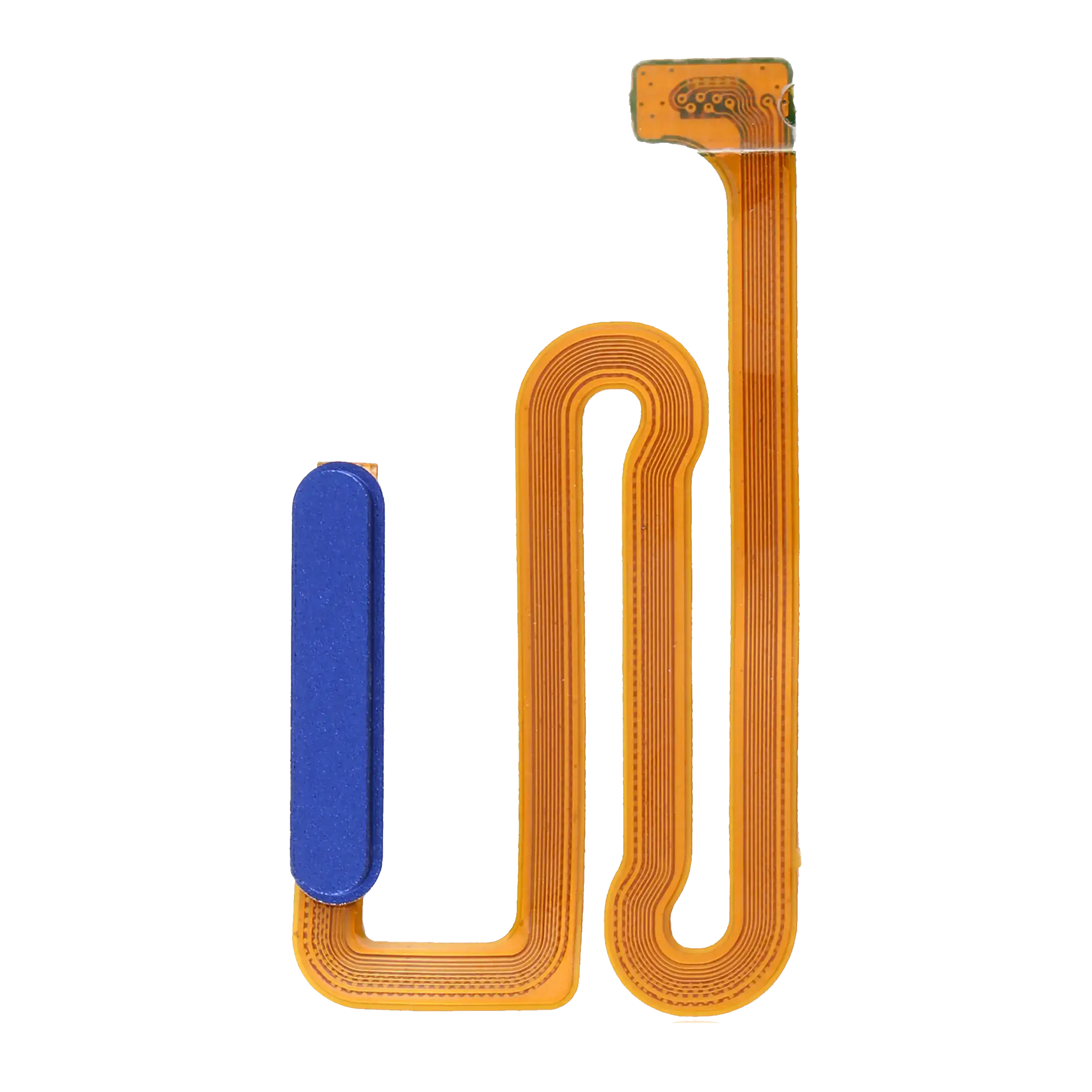 Fingerabdrucksensor mit Flexkabel für Samsung Galaxy A12 (A125 / 2020) (Blau)