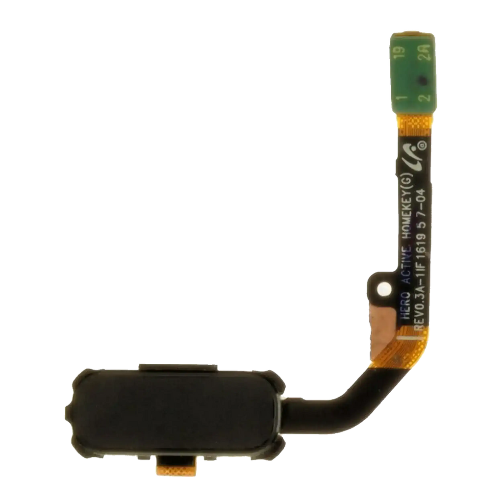Home Button Flex Cable for Samsung Galaxy S7 Active (Titanium Gray)