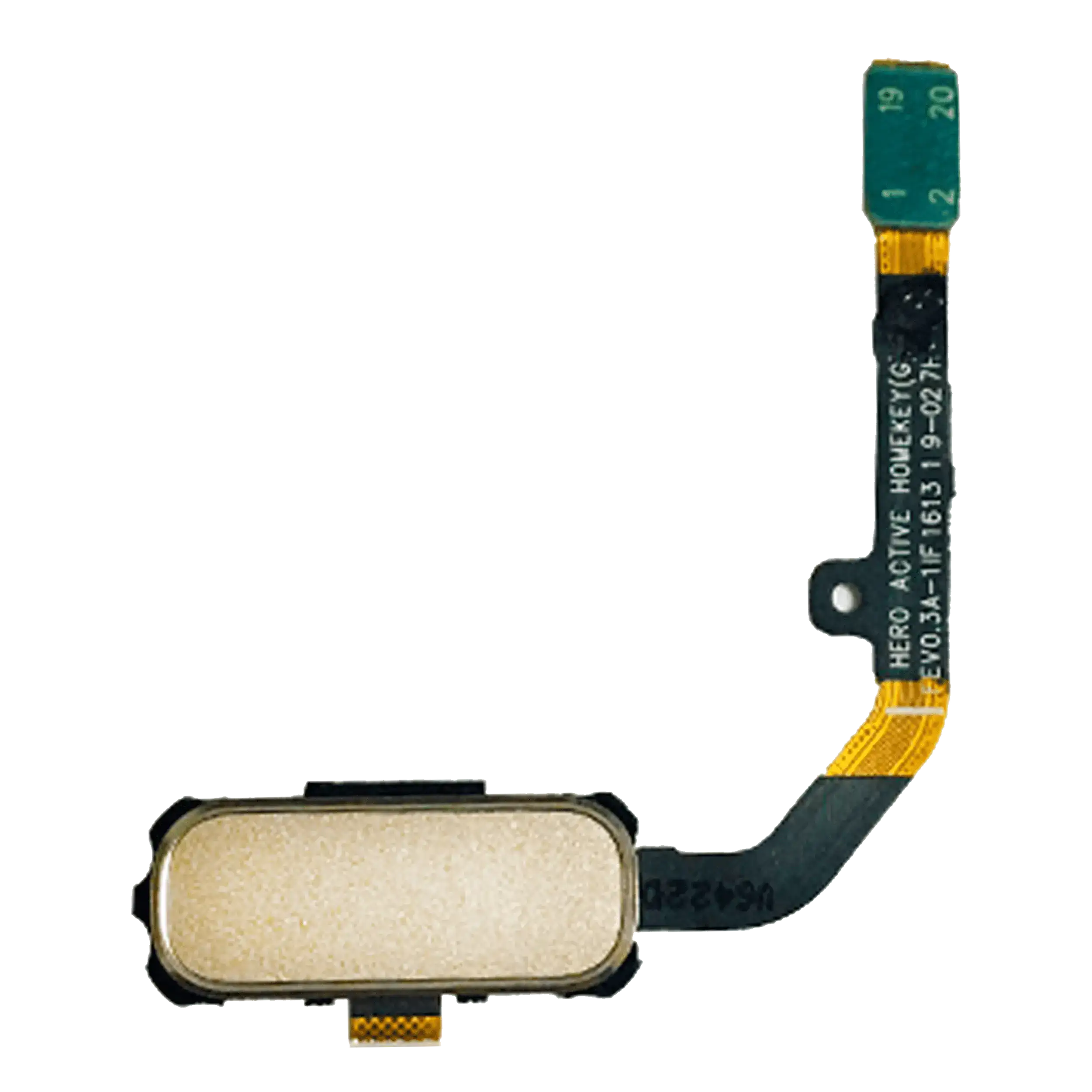Home-Button-Flexkabel für Samsung Galaxy S7 Active (Sandy Gold)