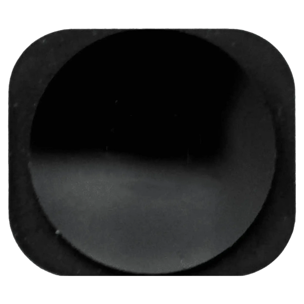 Home Button for iPhone 5 / 5C (Black)