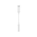 Kopfhörer (Type-C-Anschluss) für Samsung (OEM Grade New) (Bulk Packaging)