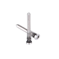 Security Screws for iPhone 12 Pro / 12 Pro Max (100-Pack, Silver, Service Pack)