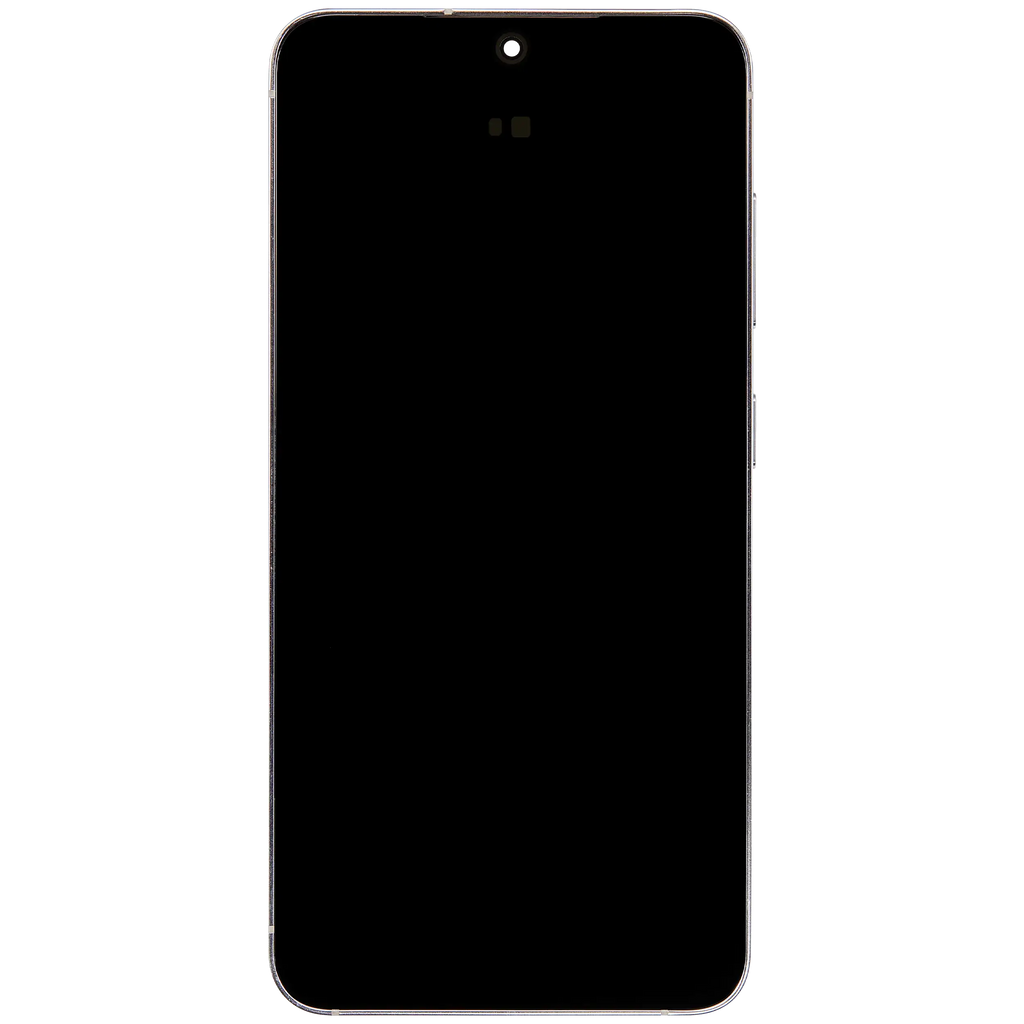 Original OEM-Ausbau Qualität A (gebraucht) – Samsung Galaxy S24 5G US