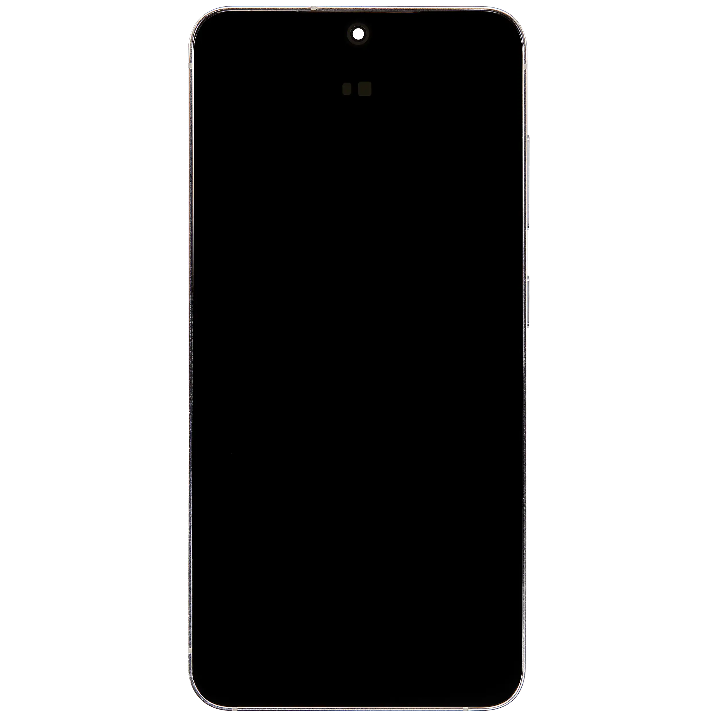 Original OEM-Ausbau Qualität A (gebraucht) – Samsung Galaxy S24 5G US