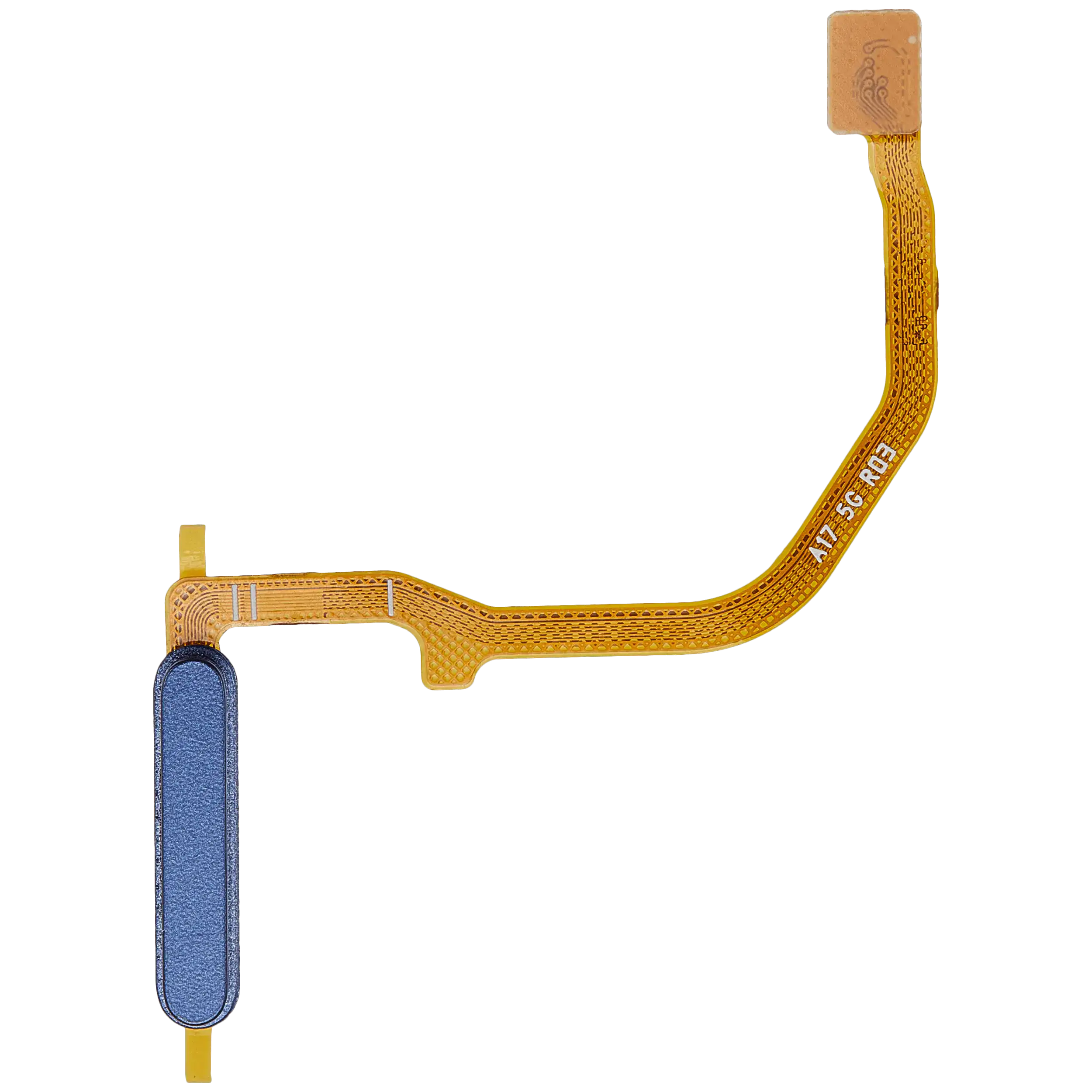 Fingerprint Sensor Flex Cable für Samsung Galaxy A17 5G (A176 / 2025) (Premium)(Blau)