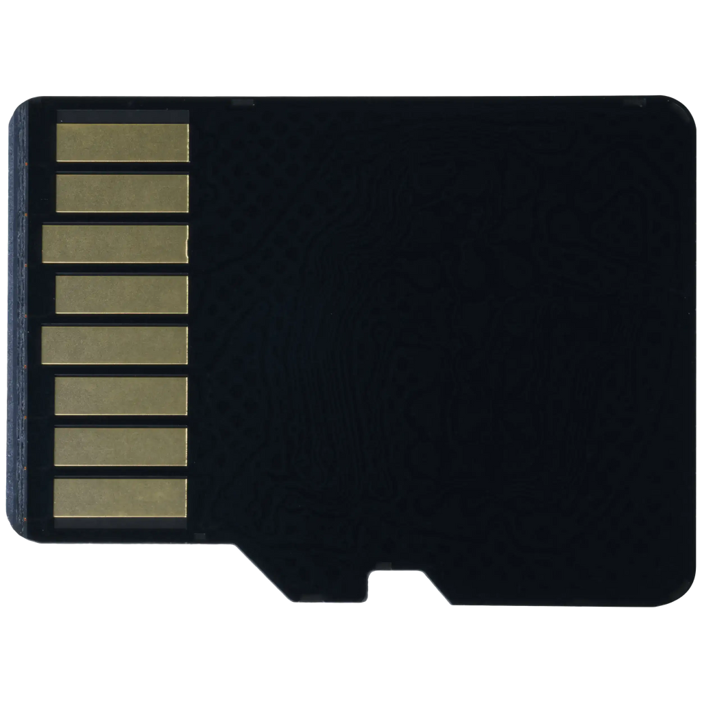 SanDisk MicroSD Card (32GB)