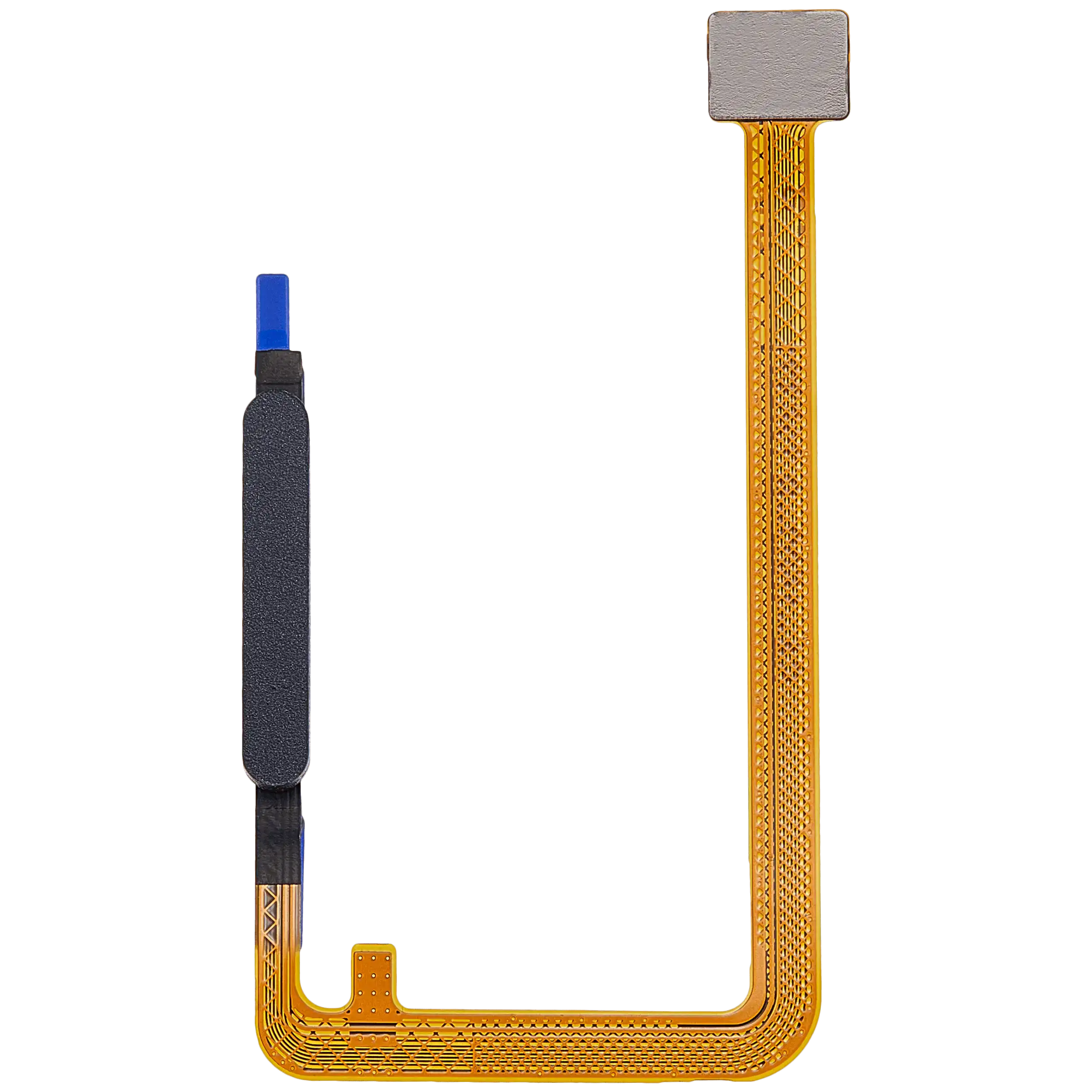 Fingerprint Reader mit Flex Cable für Samsung Galaxy A07 4G (A075 / 2025) (Grau)