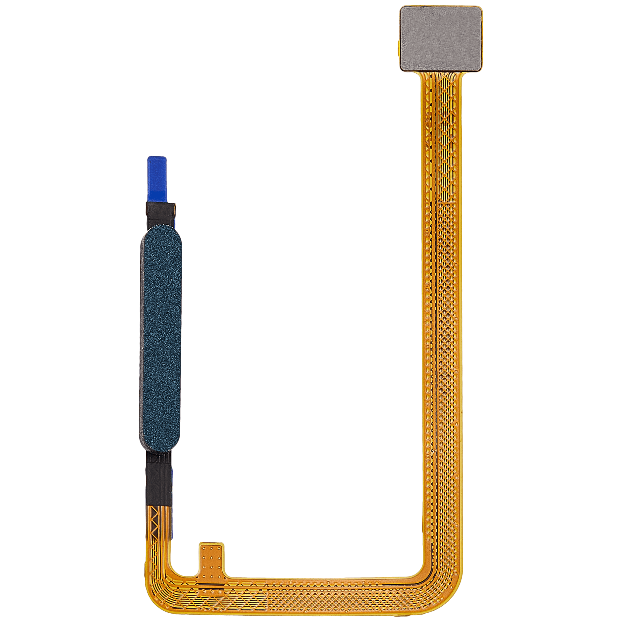 Fingerprint Reader mit Flex Cable für Samsung Galaxy A07 4G (A075 / 2025) (Dark Green)