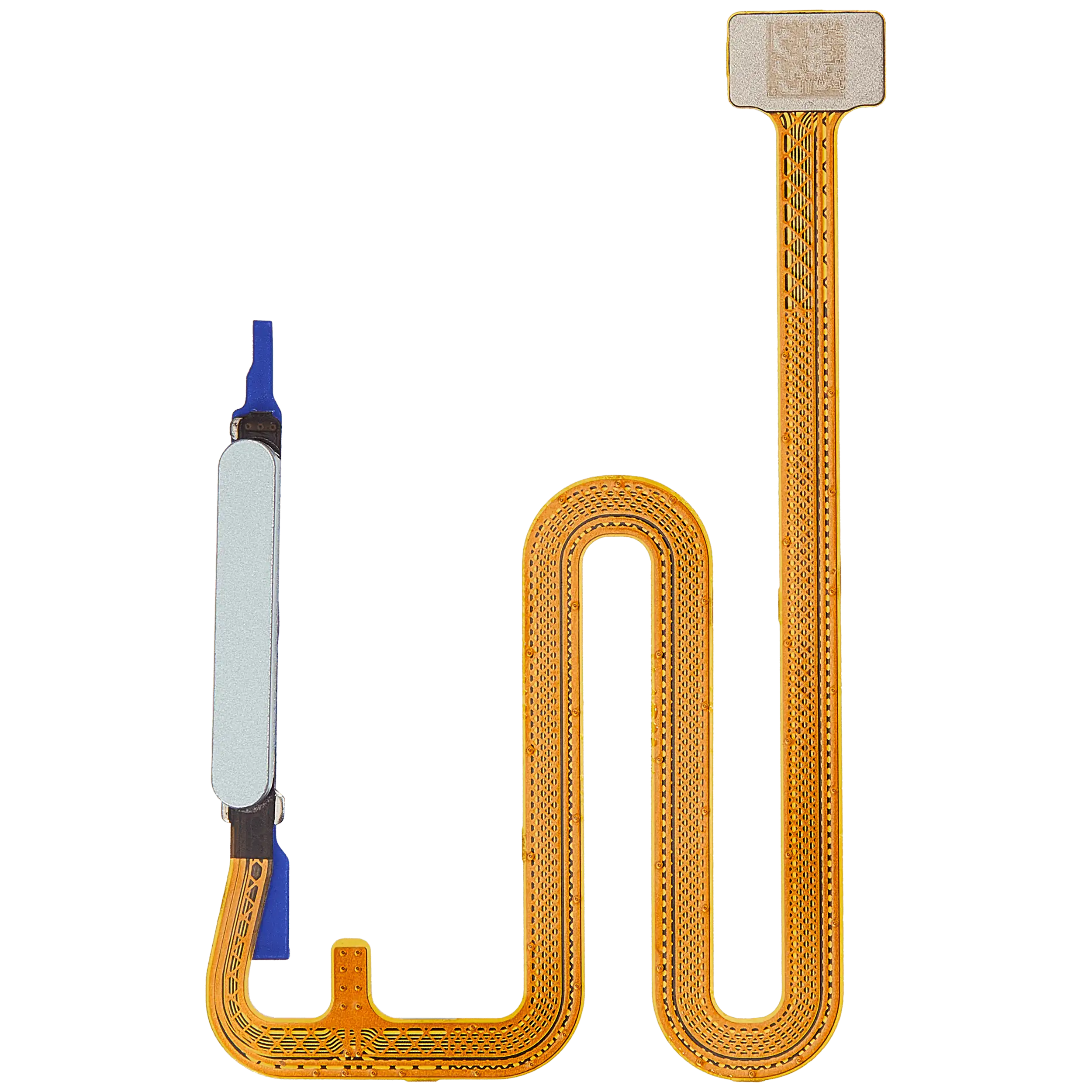 Fingerprint Reader mit Flex Cable für Samsung Galaxy A06 5G (A066 / 2025) (Light Green)