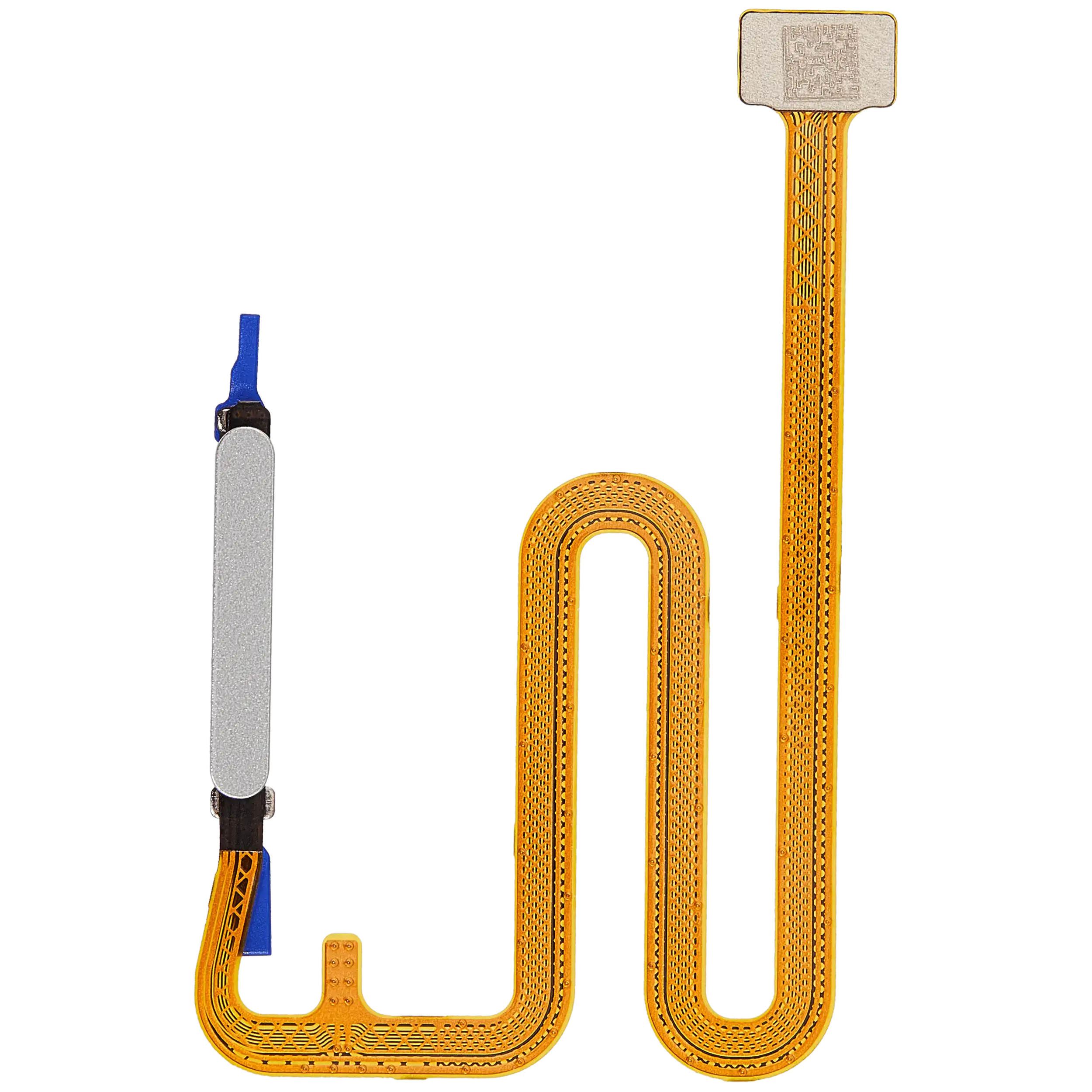 Fingerprint Reader mit Flex Cable für Samsung Galaxy A06 5G (A066 / 2025) (Grau)