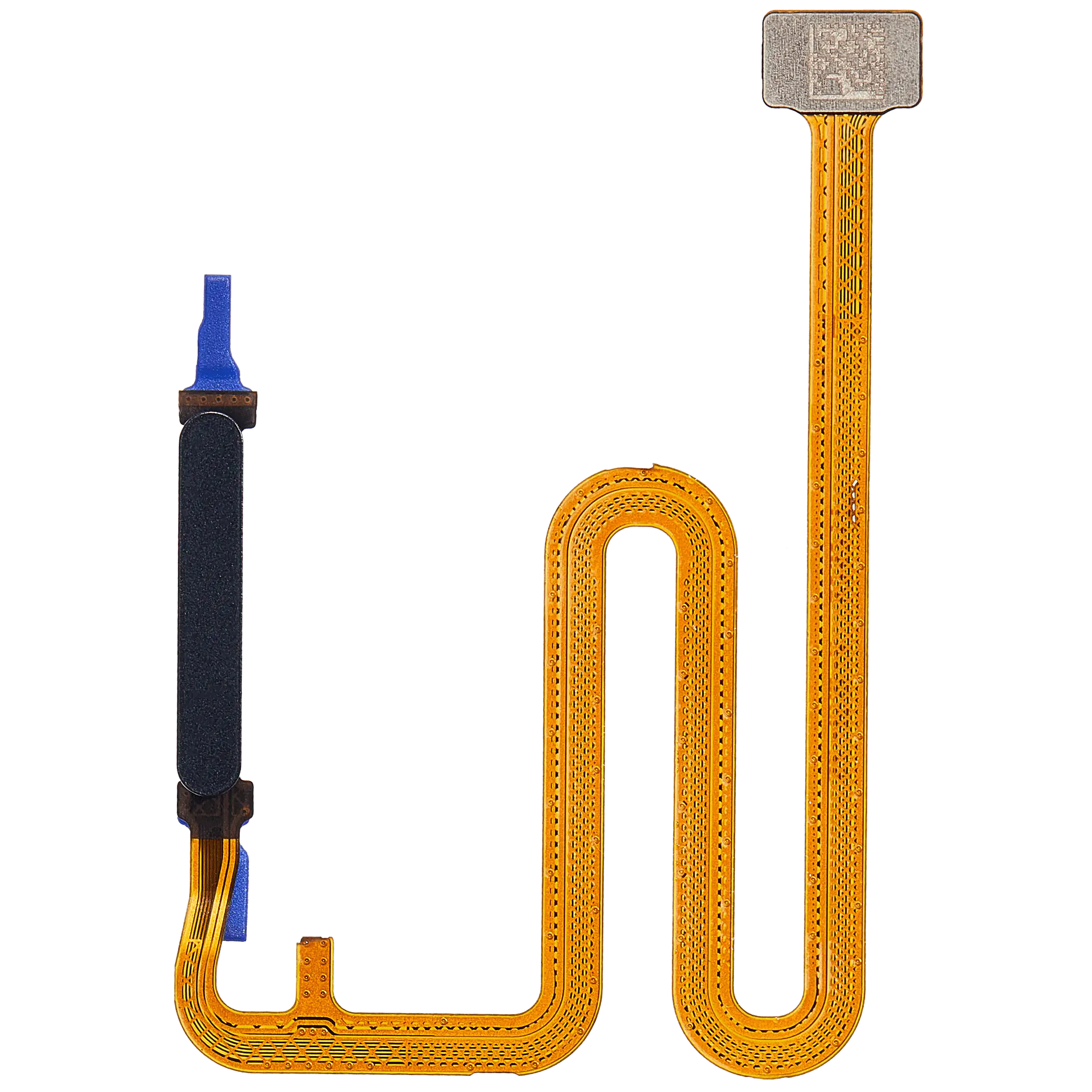Fingerprint Reader mit Flex Cable für Samsung Galaxy A06 5G (A066 / 2025) (Schwarz)