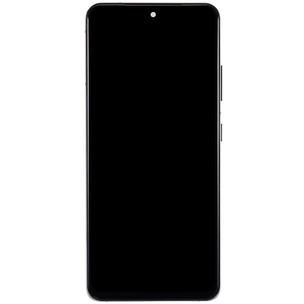 LCD-Display mit Rahmen (Without FingerPrint Sensor) für Samsung Galaxy S21 Ultra (US & International)(Aftermarket: Incell)(Phantom Silver)
