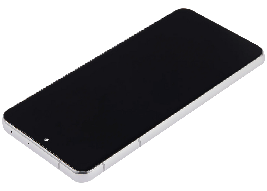 LCD-Display mit Rahmen (Without FingerPrint Sensor) für Samsung Galaxy S21 Ultra (US & International)(Aftermarket: Incell)(Phantom Silver)