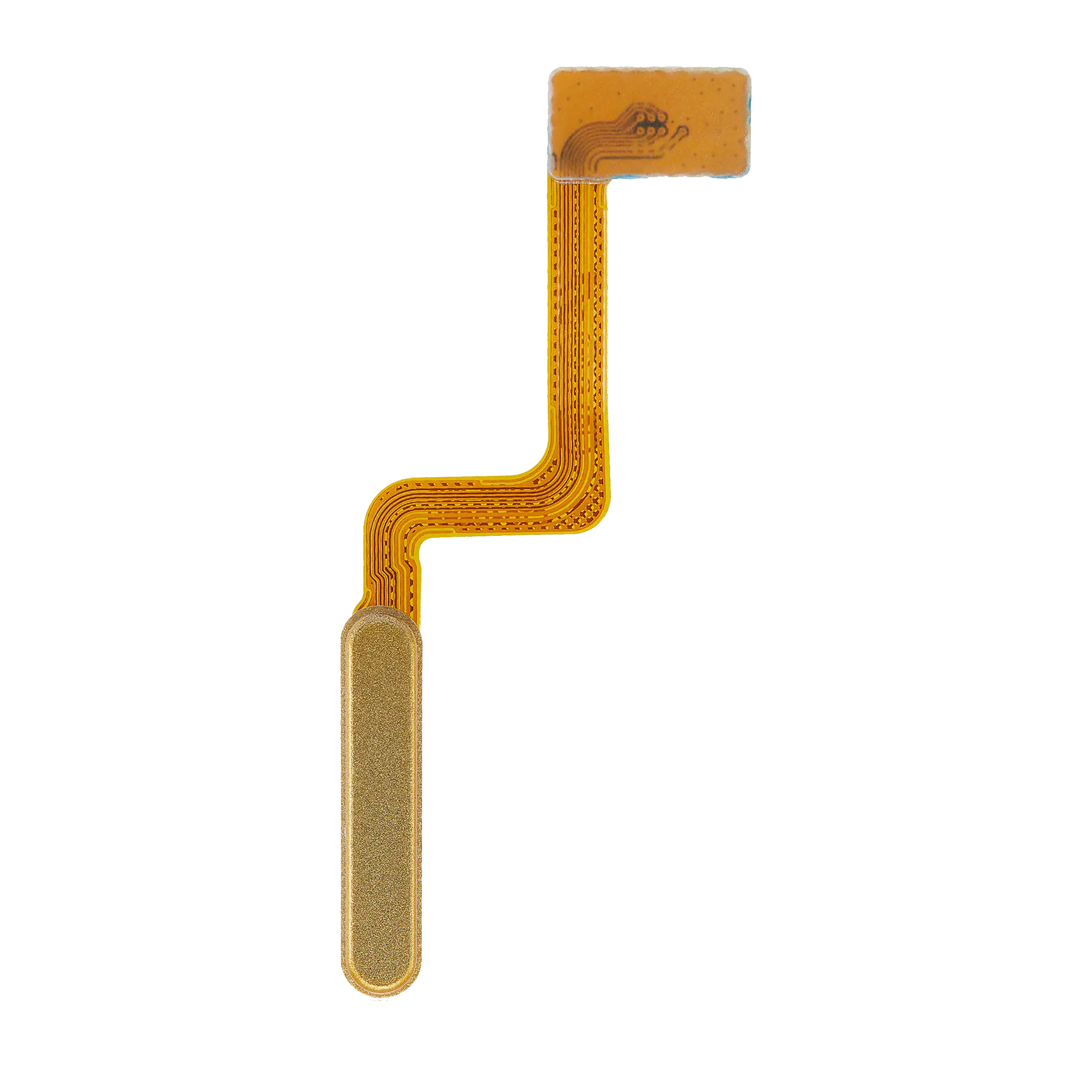Fingerprint Sensor Flex Cable for Samsung Galaxy Z Flip 6 (F741) (Black)