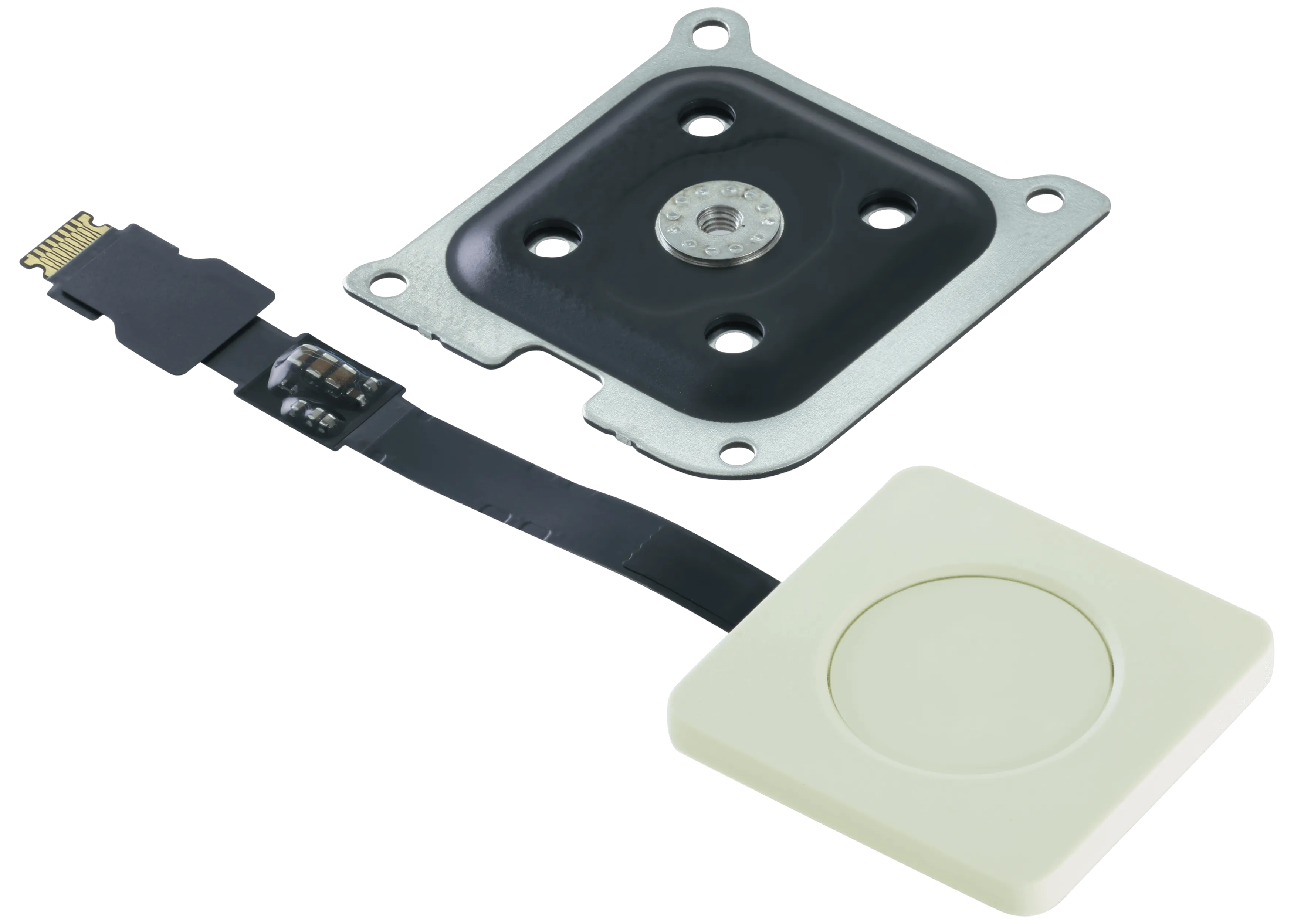 Touch ID Power Button für MacBook Neo (2026) (Original OEM) (Citrus)