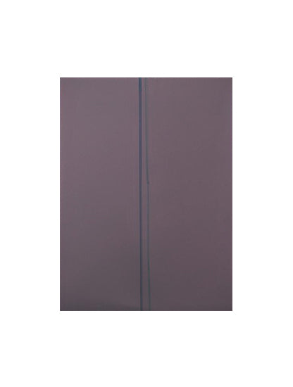 Polarisierender Film für iPad Pro 10.5" (Premium) (10er-Pack)