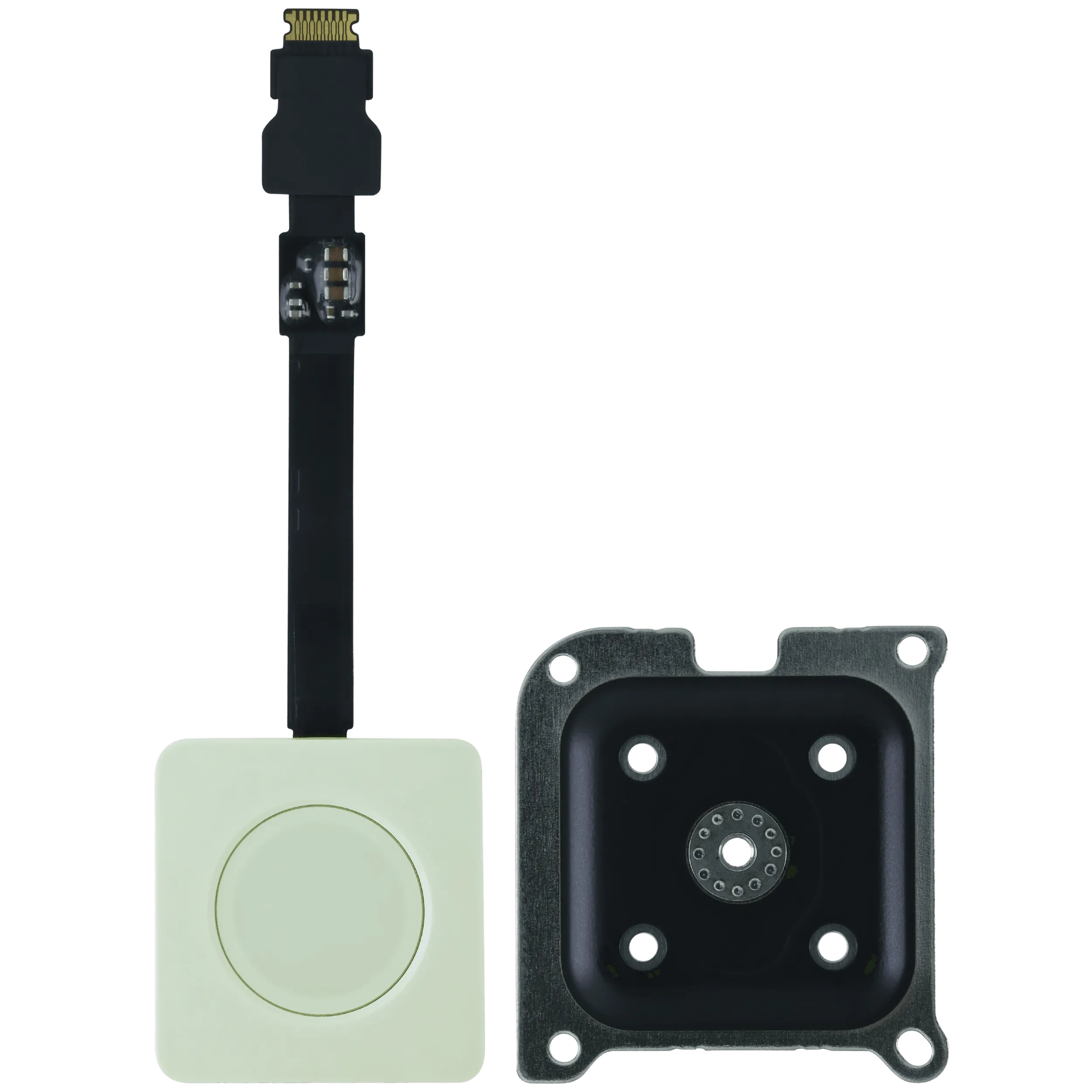 Touch ID Power Button für MacBook Neo (2026) (Original OEM) (Citrus)