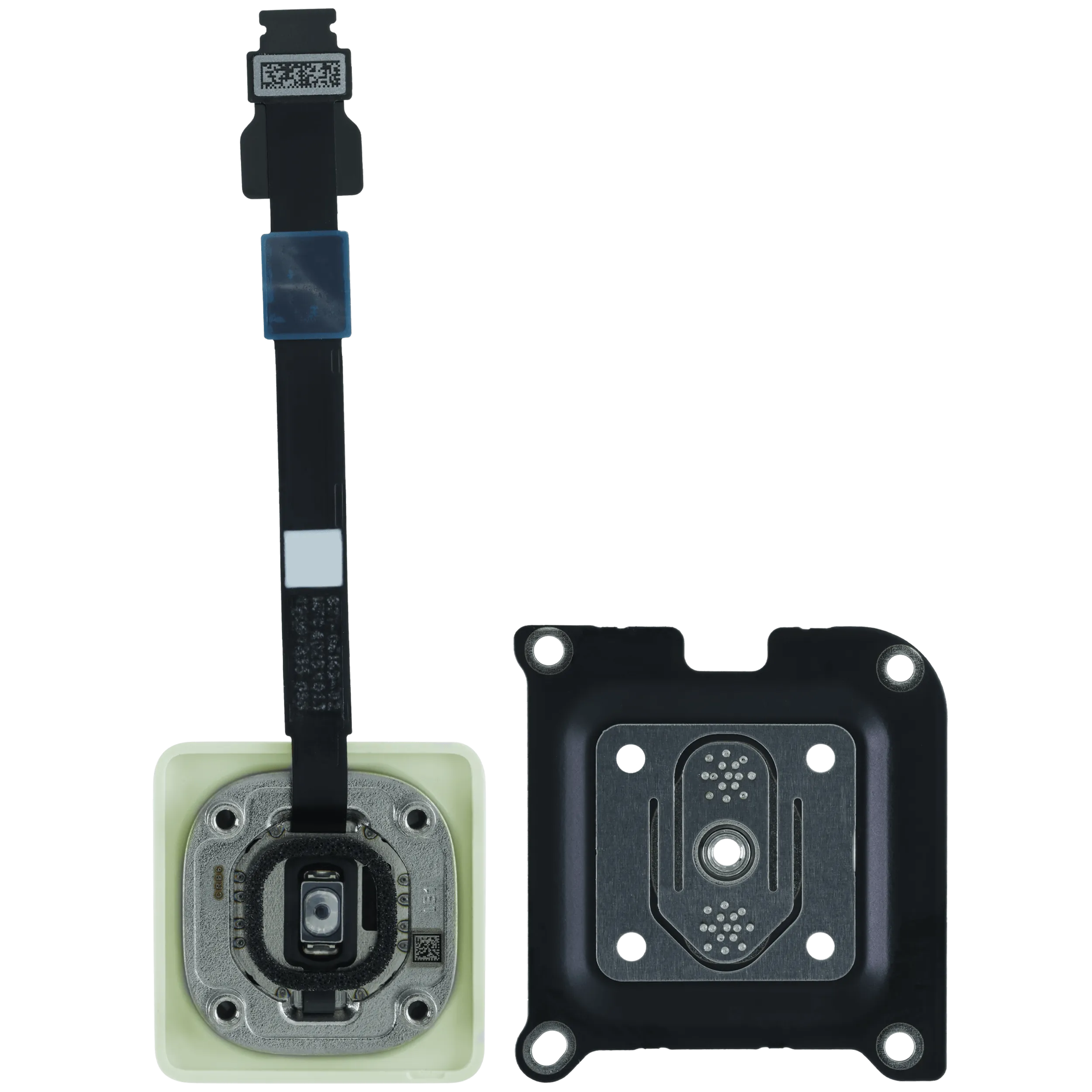 Touch ID Power Button für MacBook Neo (2026) (Original OEM) (Citrus)