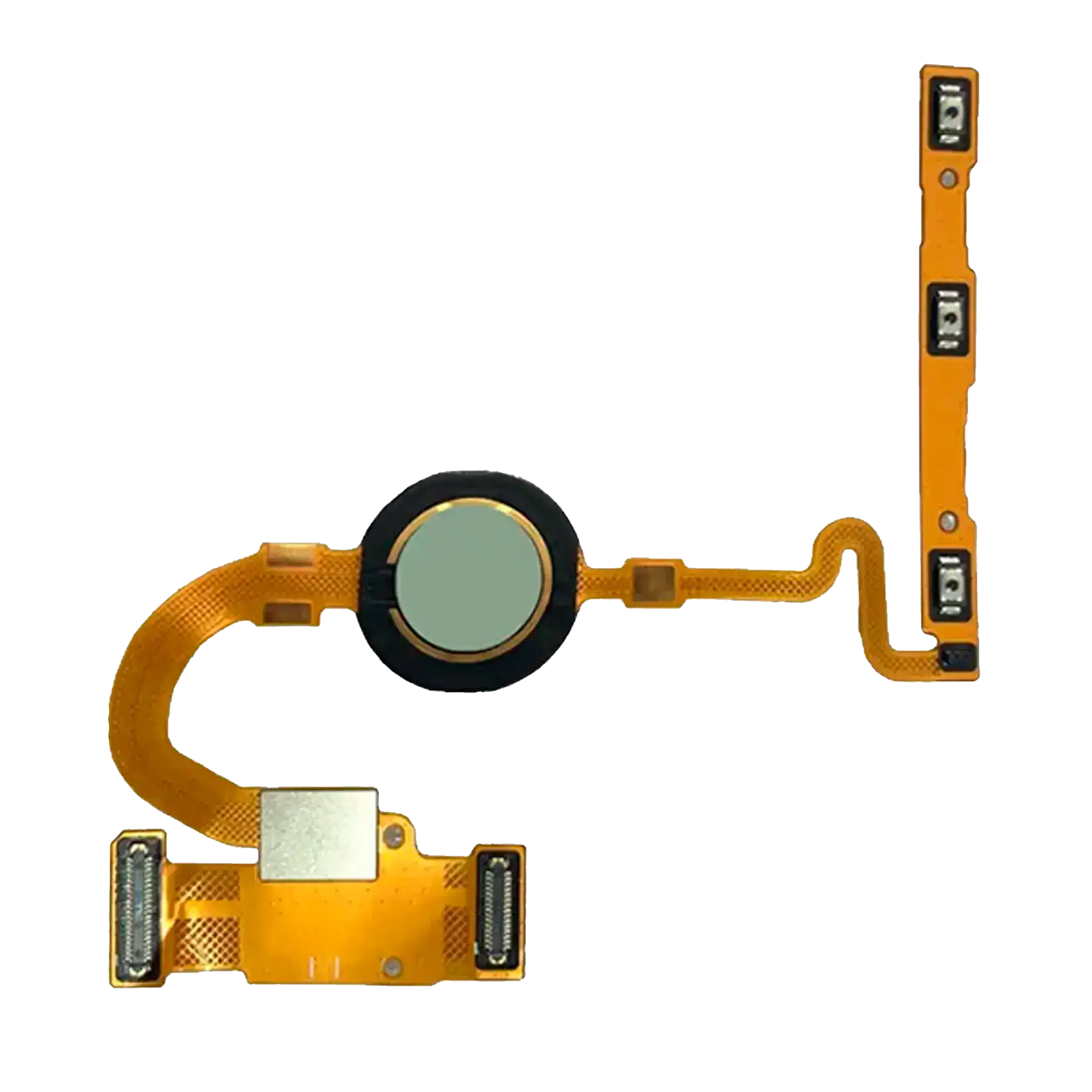 Fingerprint Sensor with Flex Cable for Google Pixel 5 (Original OEM) (Sorta Sage)