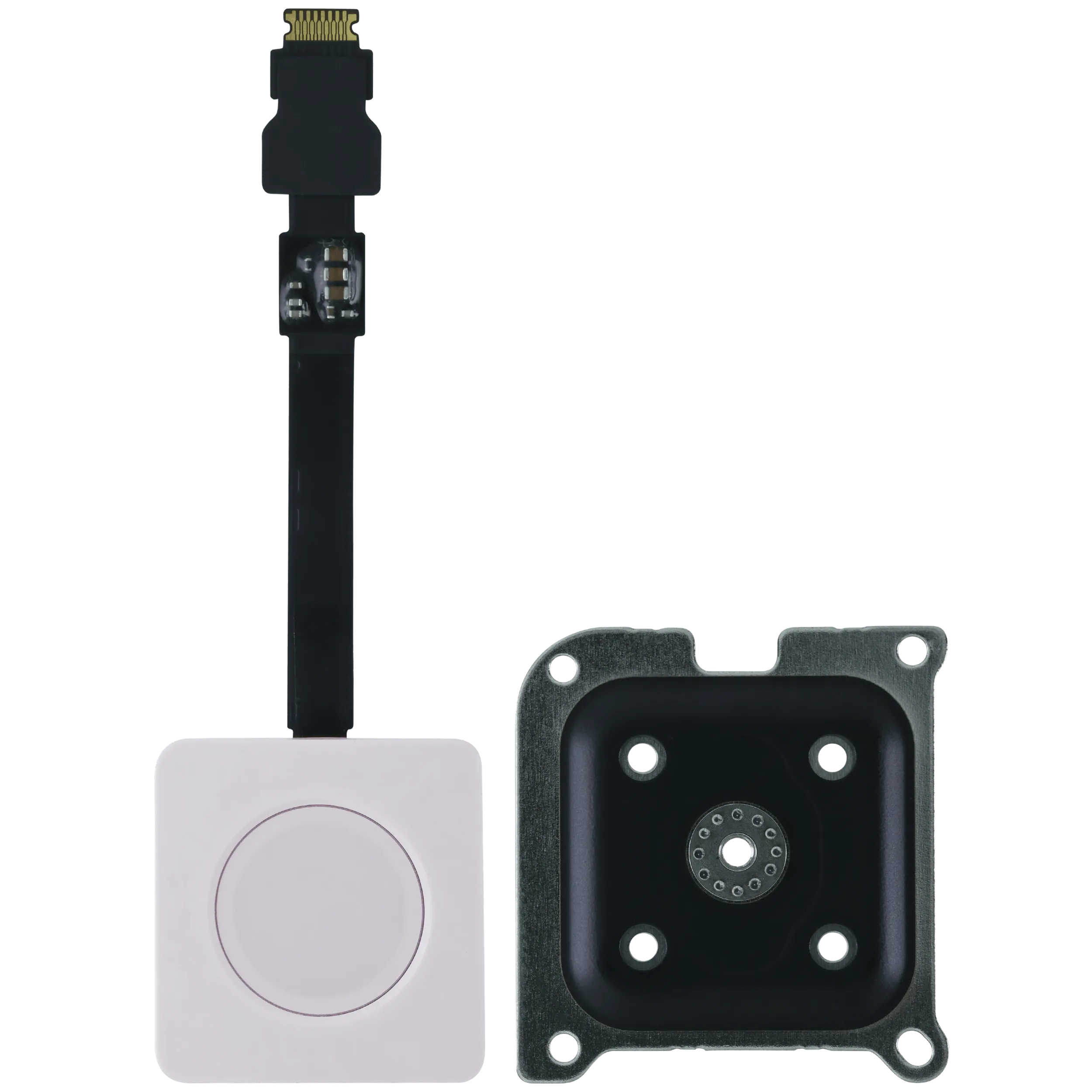 Touch ID Power Button für MacBook Neo (2026) (Original OEM) (Blush)